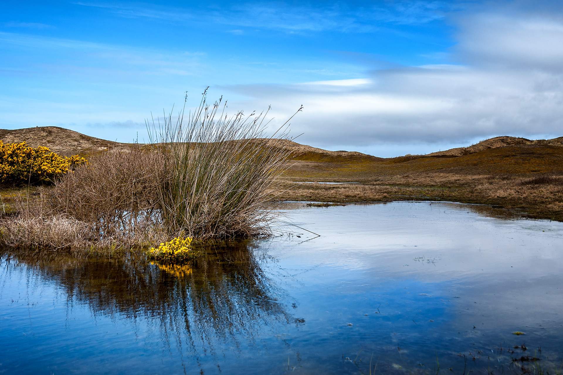 Les dunes de Biville