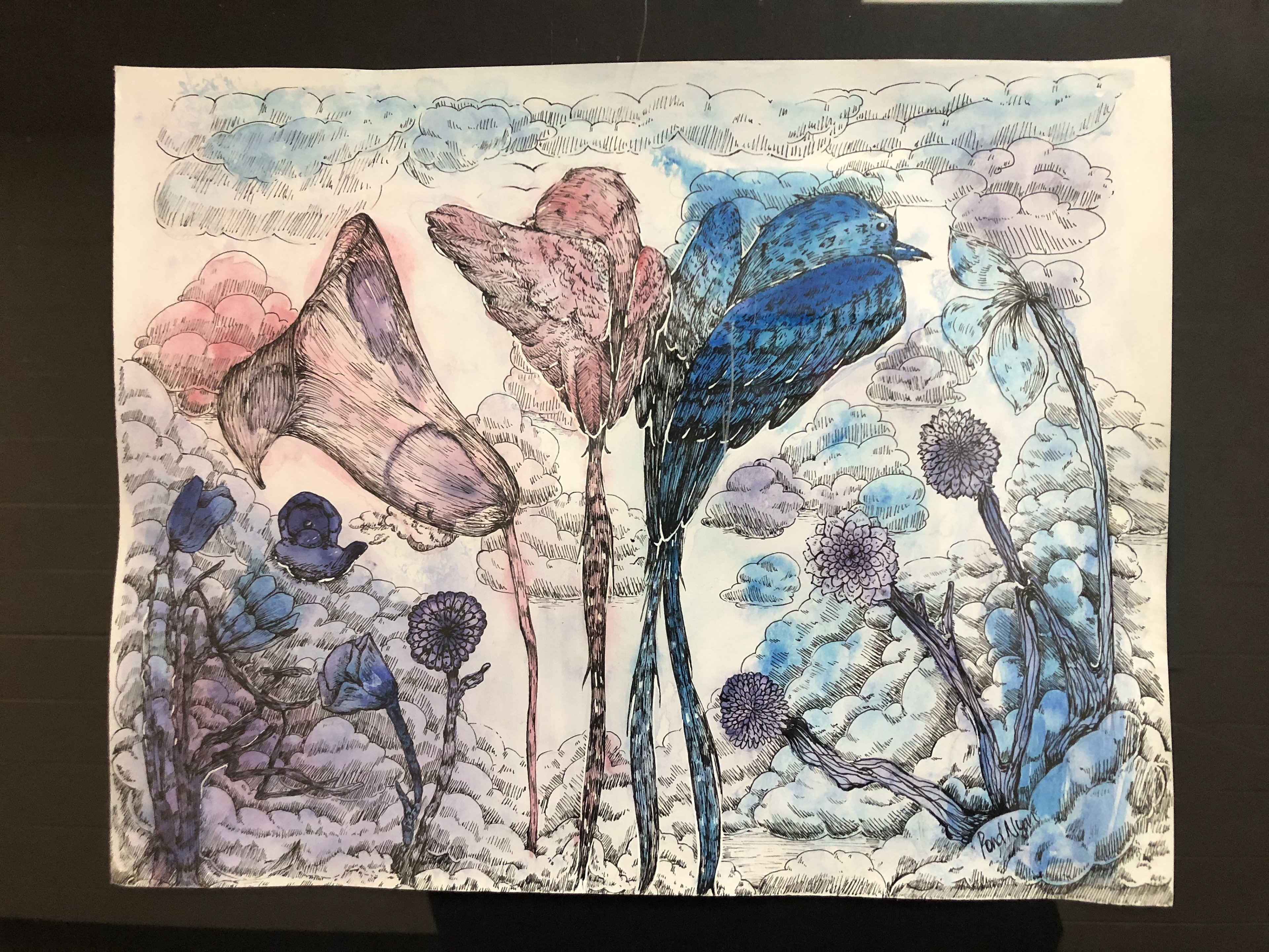 Pond Nyan, Grade 11, Canterbury High School. Two Birds, Drawing & Illustration. Trevor Campbell, Educator.