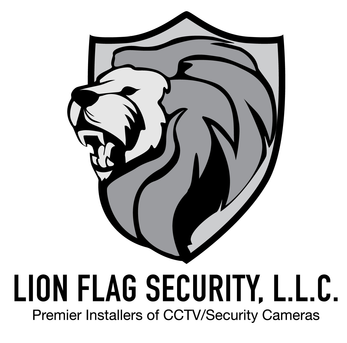 Flag secure. Флаг со львом. Знамя со львом. Арт флаг со львом.