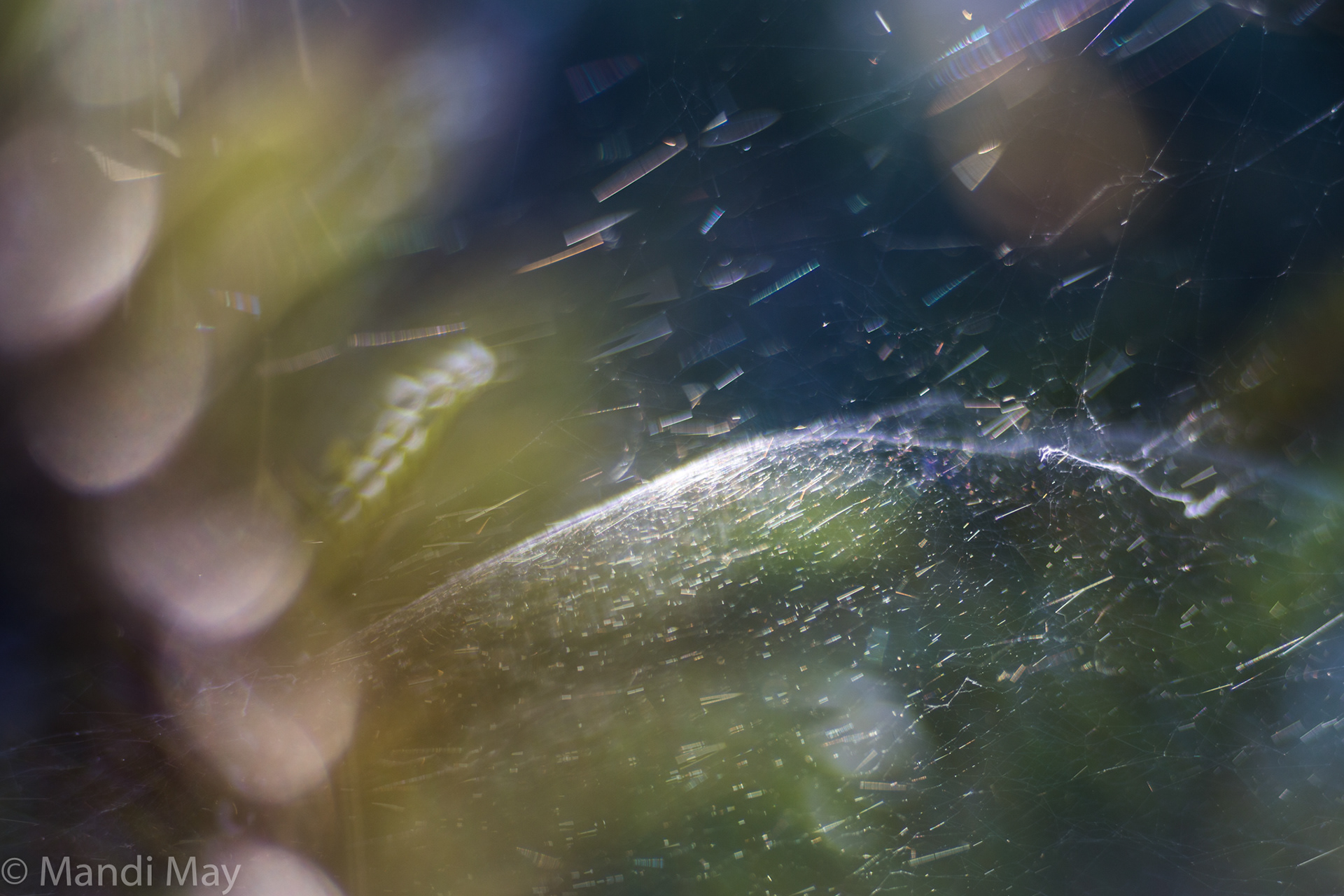 Nature Galactic 1