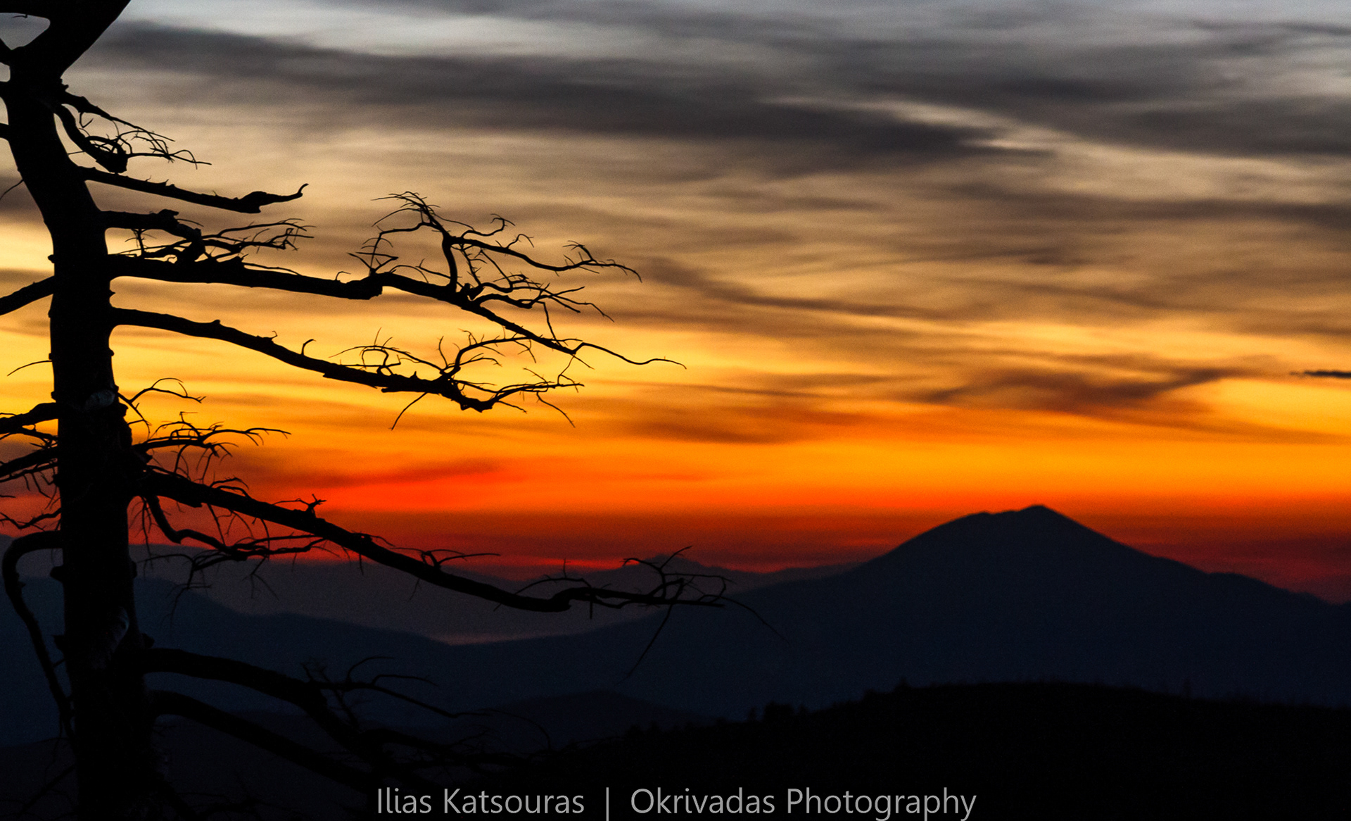 parnitha tree silhouette landscape πάρνηθα δέντρο τοπίο