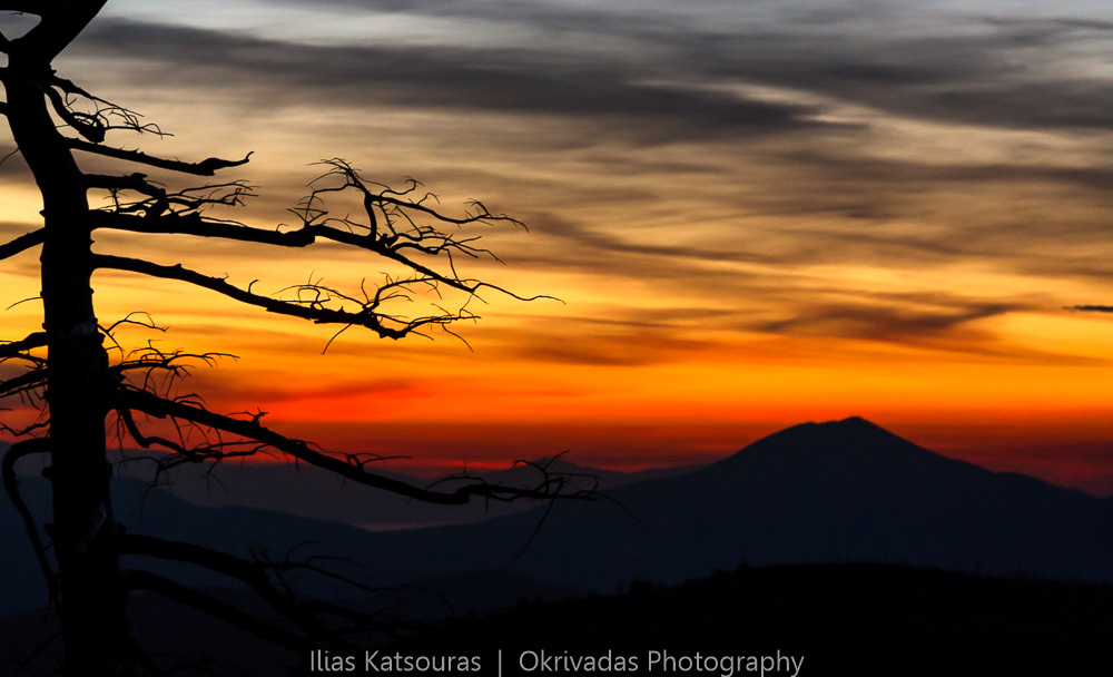 parnitha tree silhouette landscape πάρνηθα δέντρο τοπίο