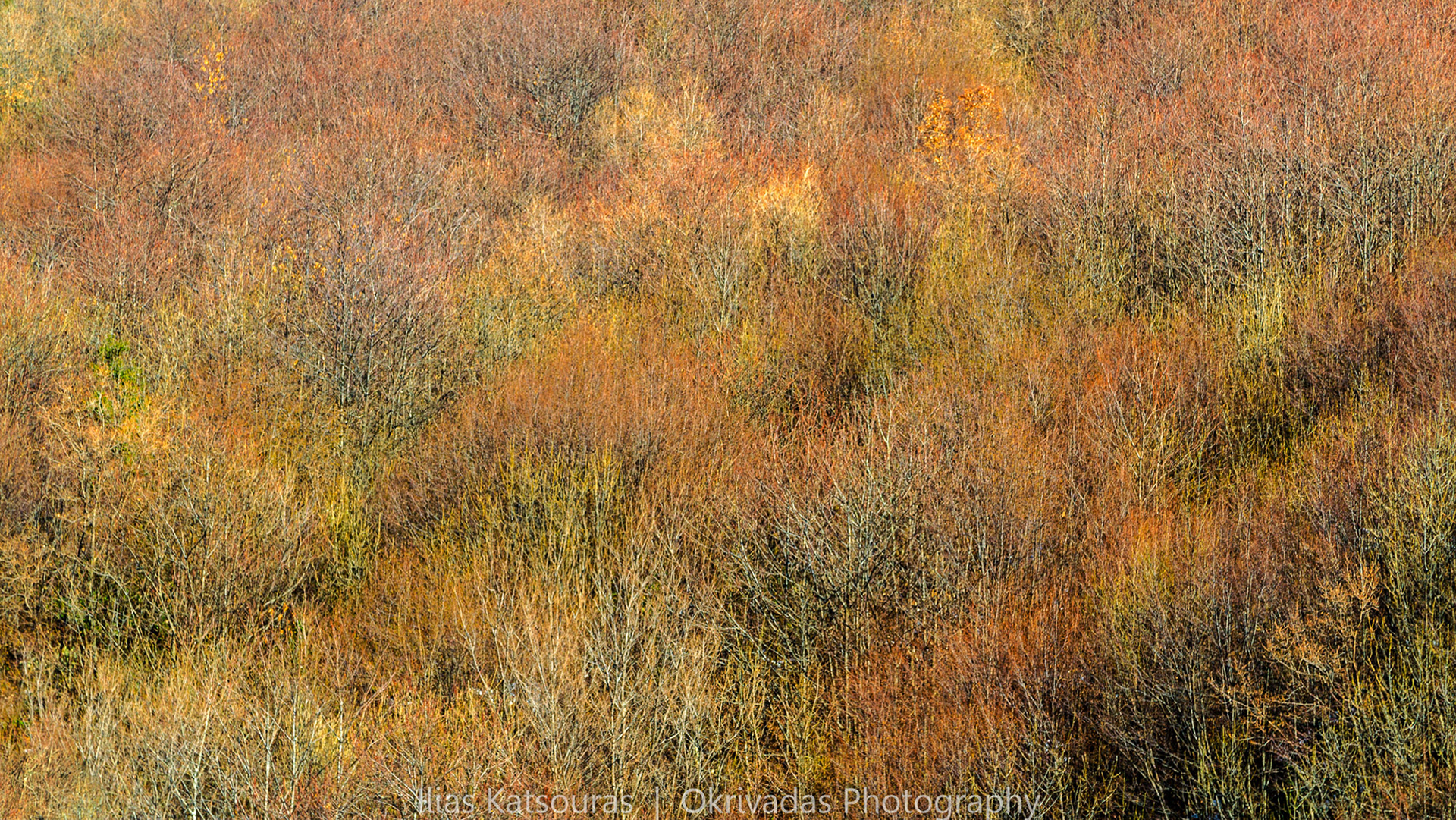 autumn,colours,pelio,πήλιο,φθινόπωρο,χρώματα