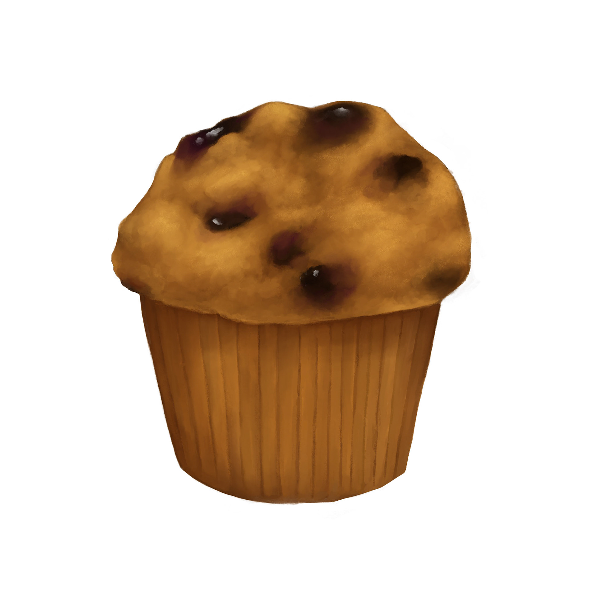 Blueberry Muffin - Procreate