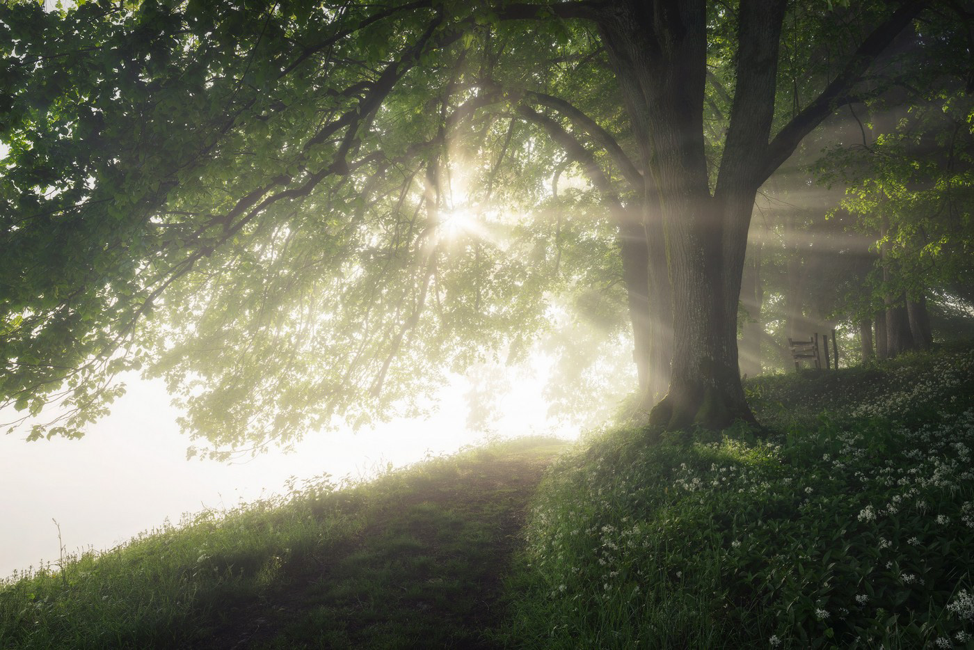 Apparition #2