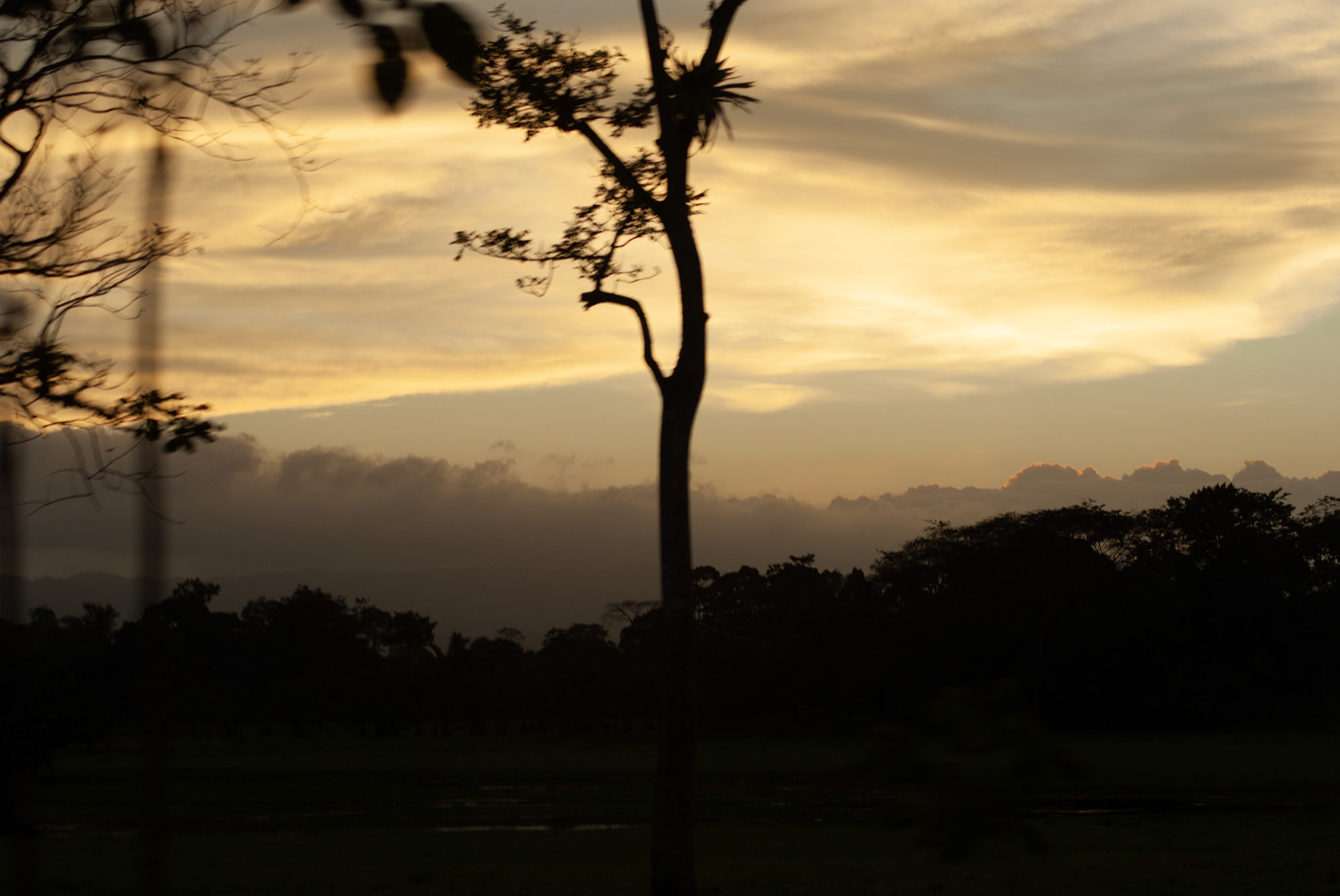 SONY DSC