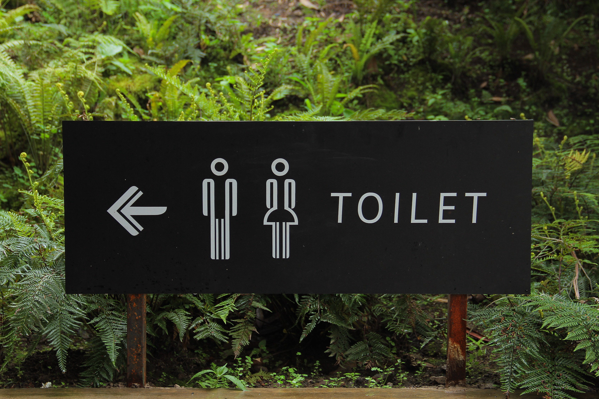 Image description: A black sign with white text and images in a fern grove. The sign has the image of a person in a skirt and a person with pants next to the word “toilet” with an arrow pointing to the left of the frame.