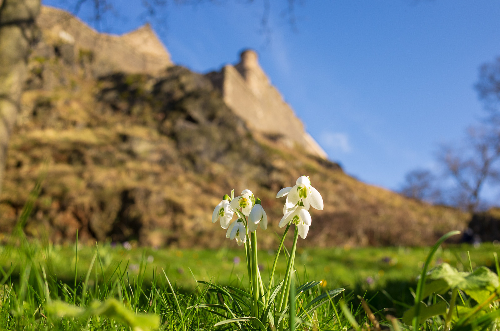 Princes Street Gardens