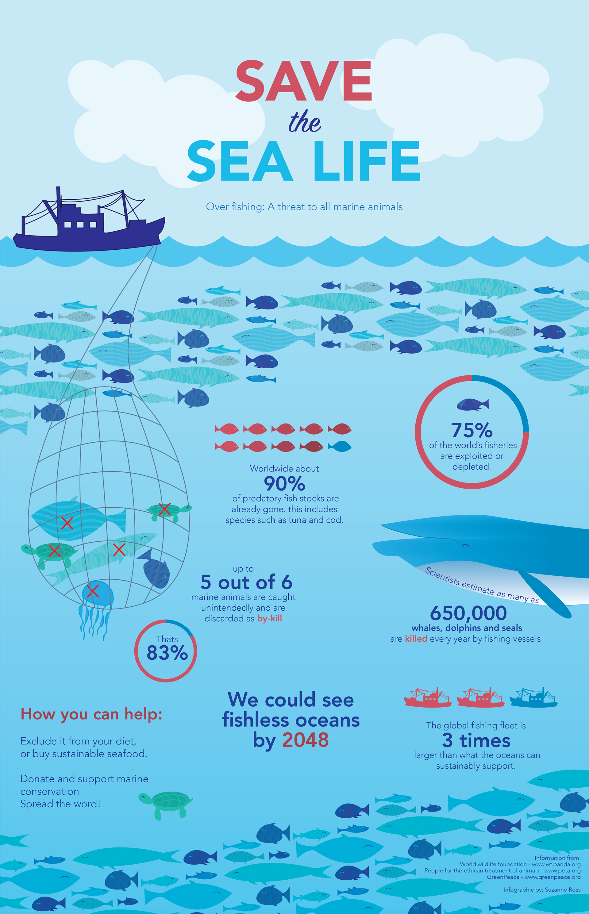 Suzanne Ross - Save the Sea Life Infographic