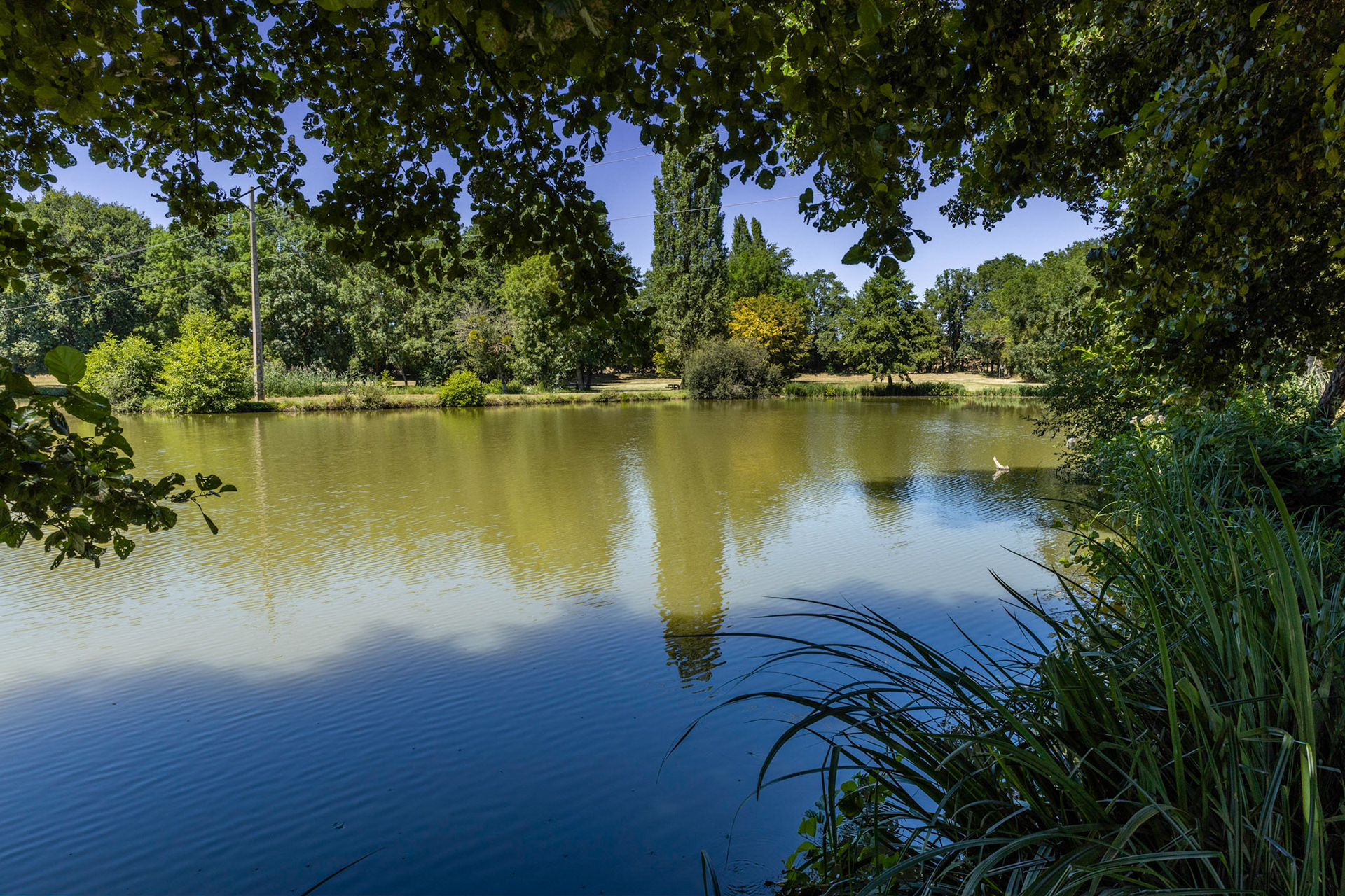 Etang Communal de Savigny-en-Sancerre