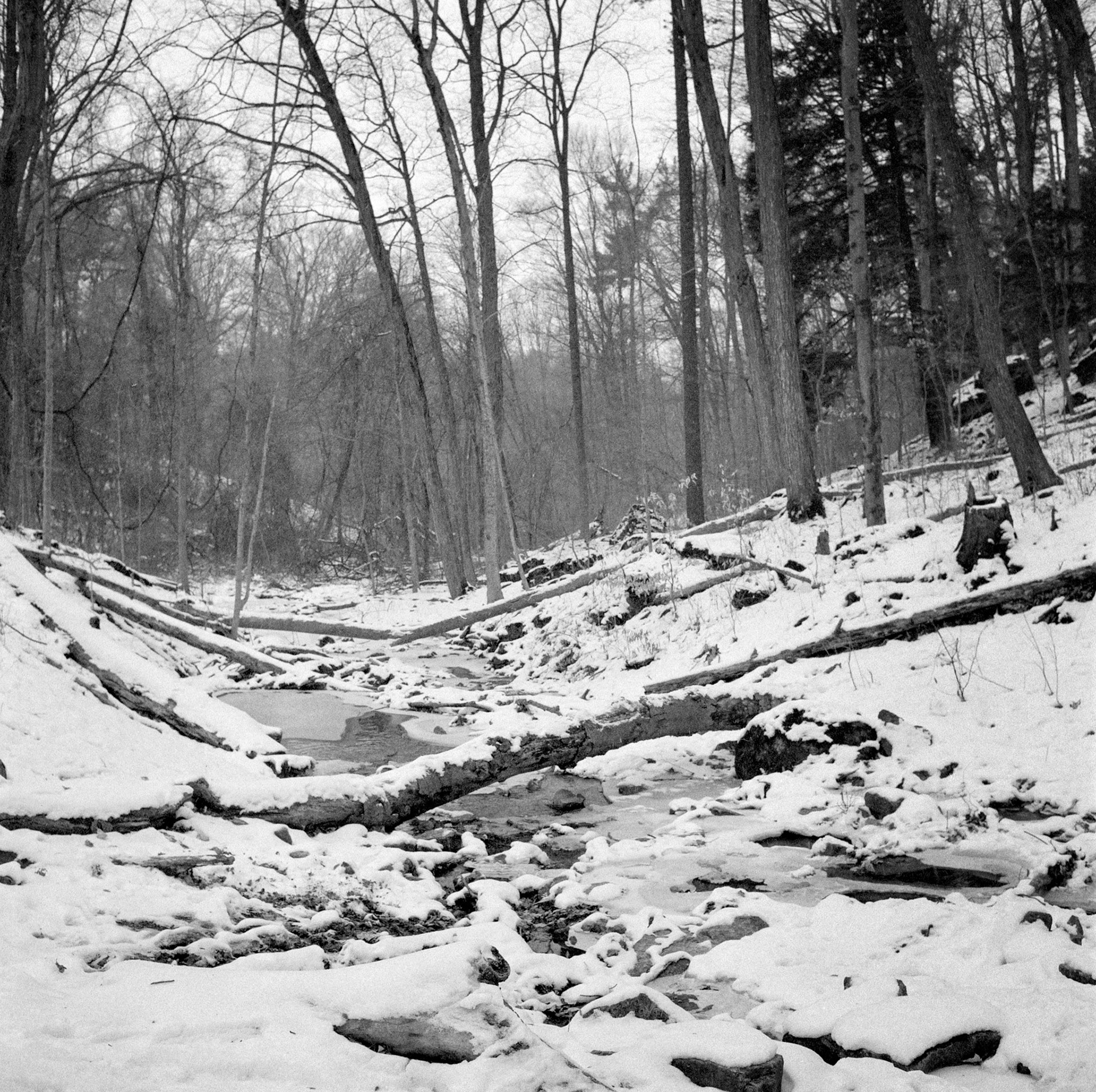 Dundas Valley