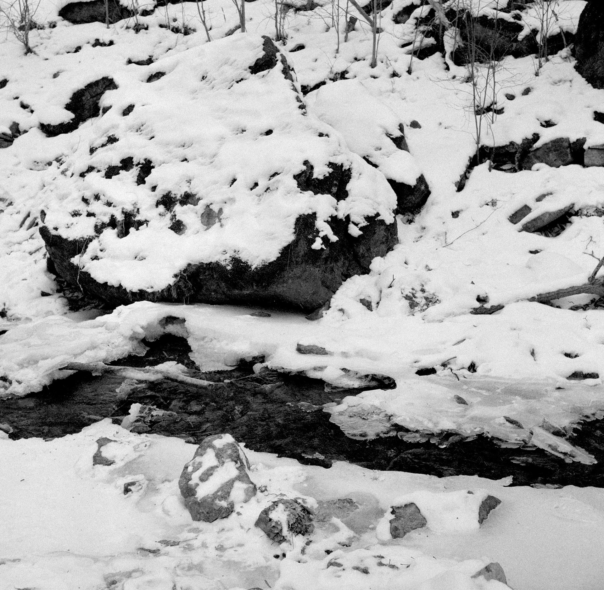 Feel the cold