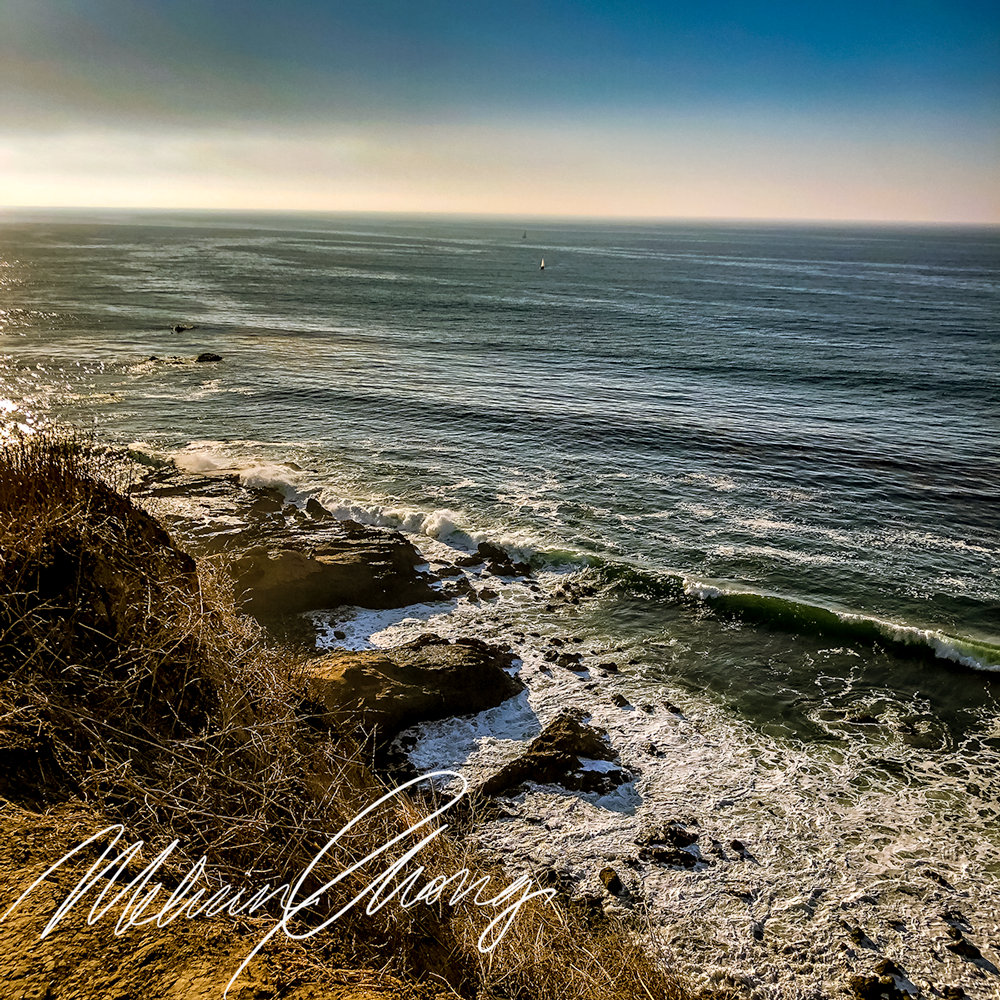 © 2019 | Palos Verdes | 1385