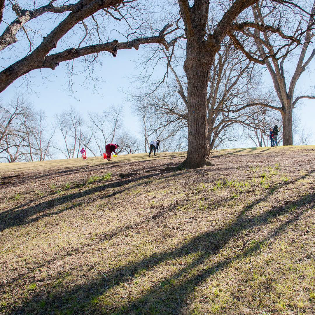Barton Springs