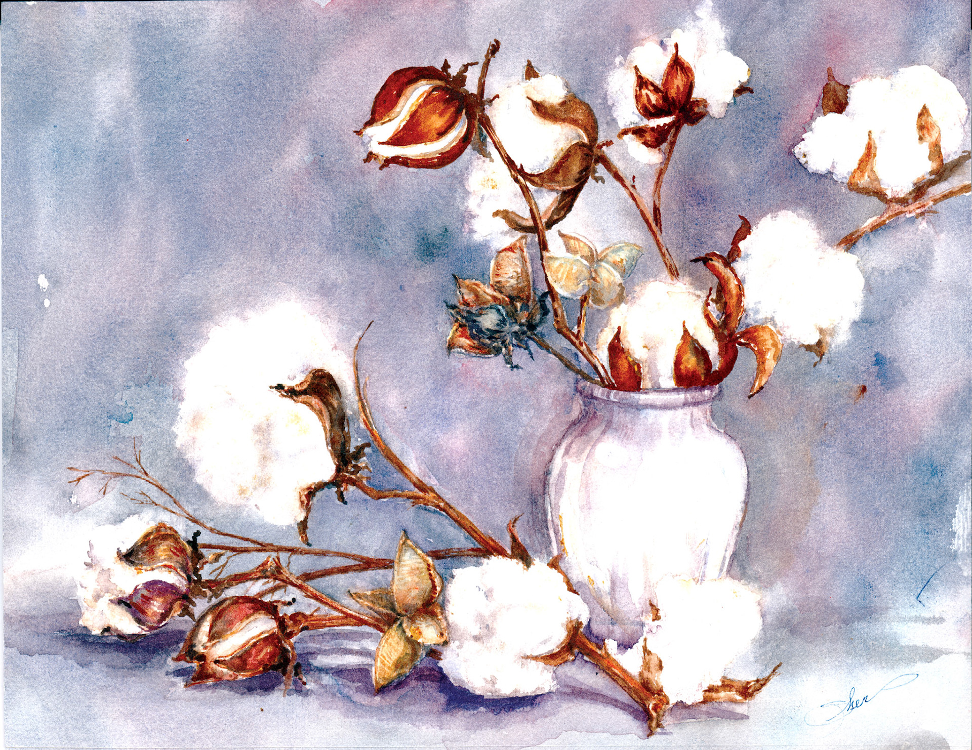 Soft as Cotton - Watercolor