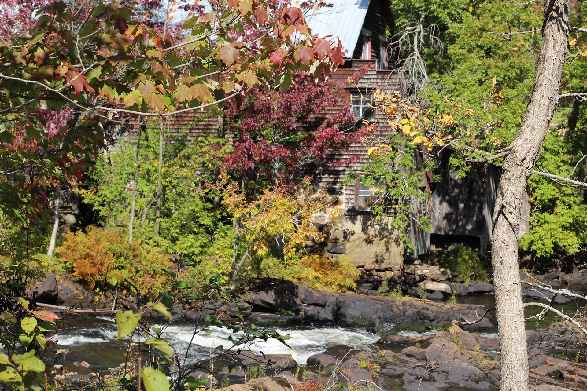Automne