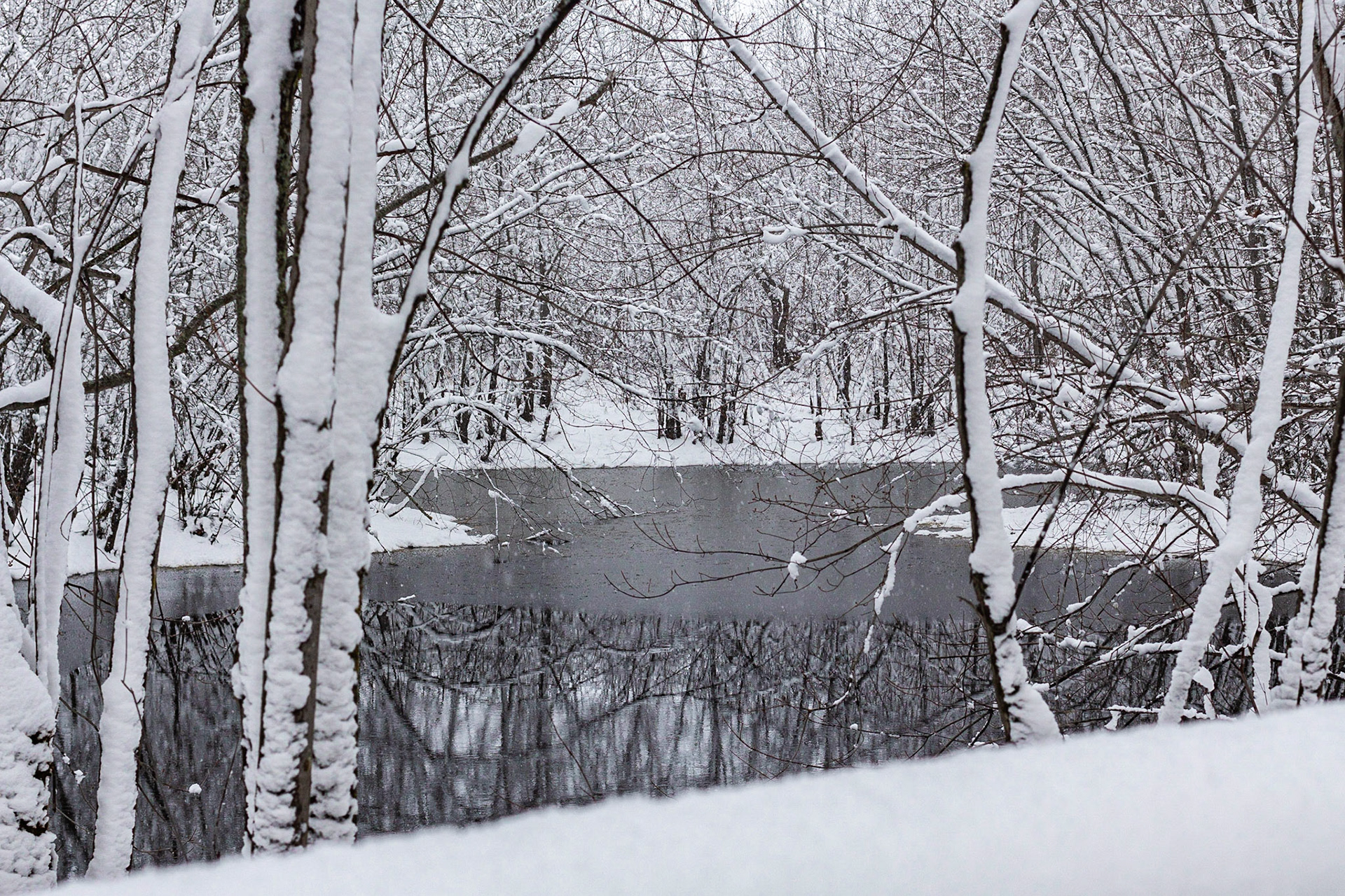 Hiver 2018