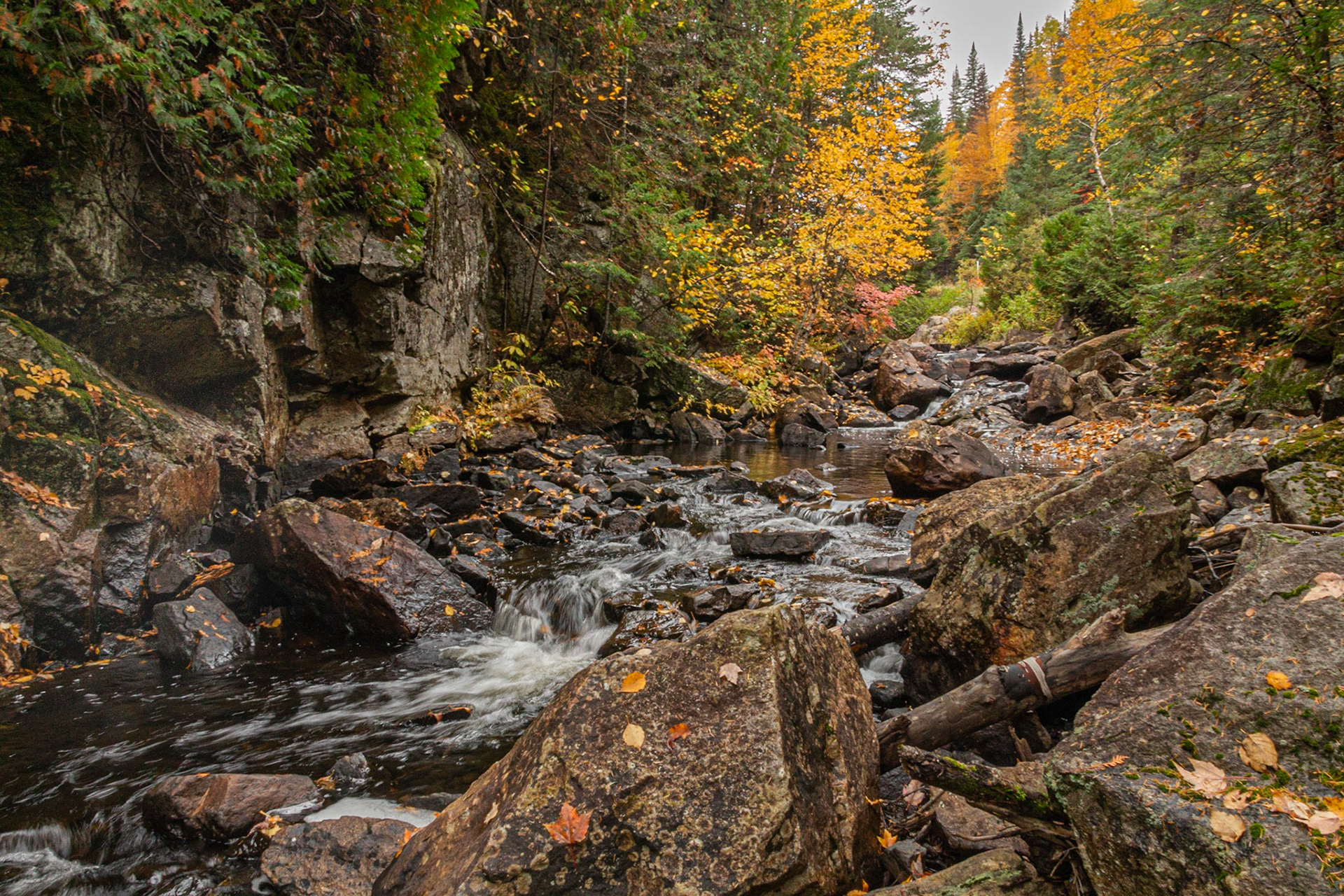 Rivière Noire