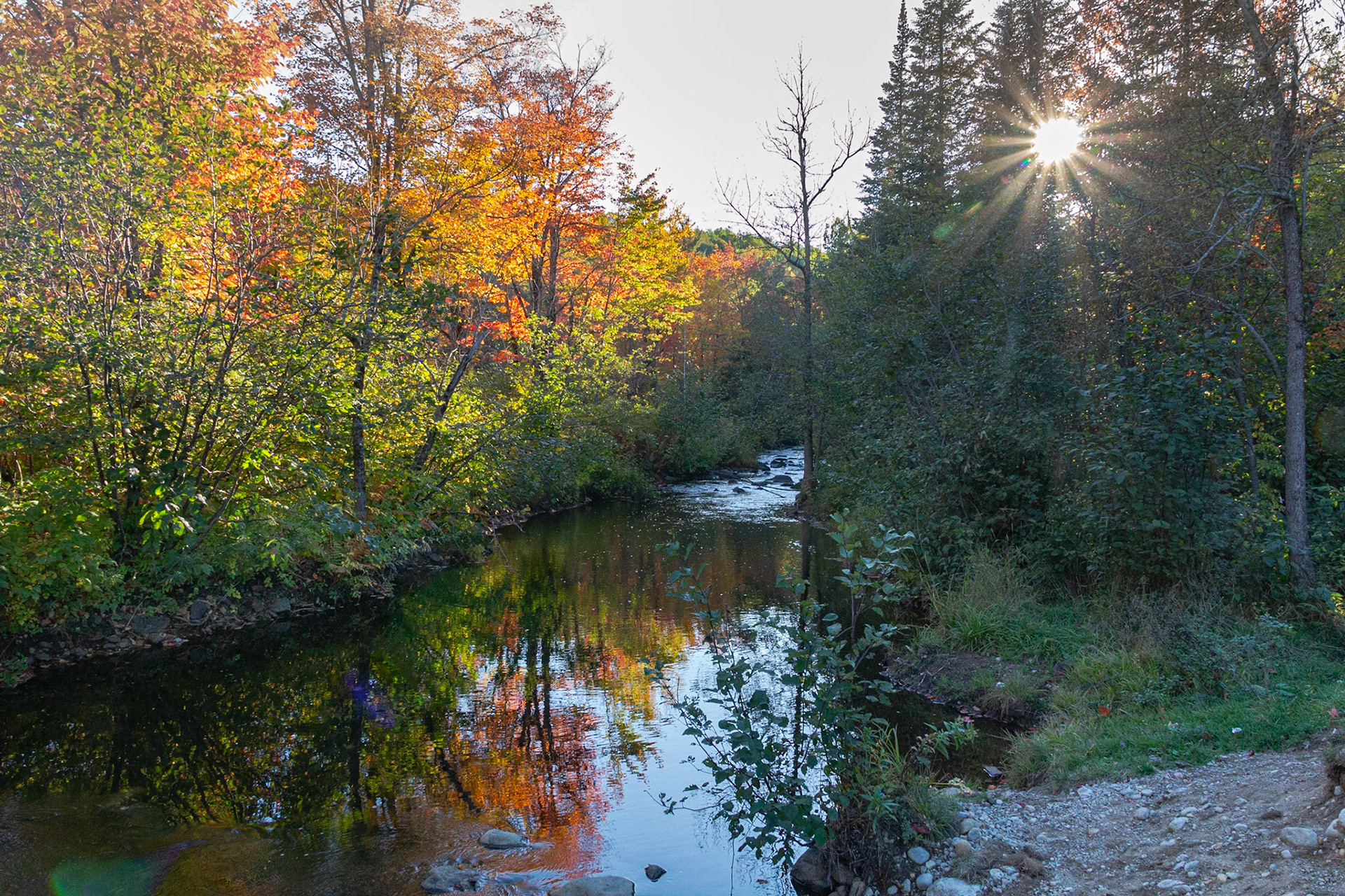 Rivière Noire
