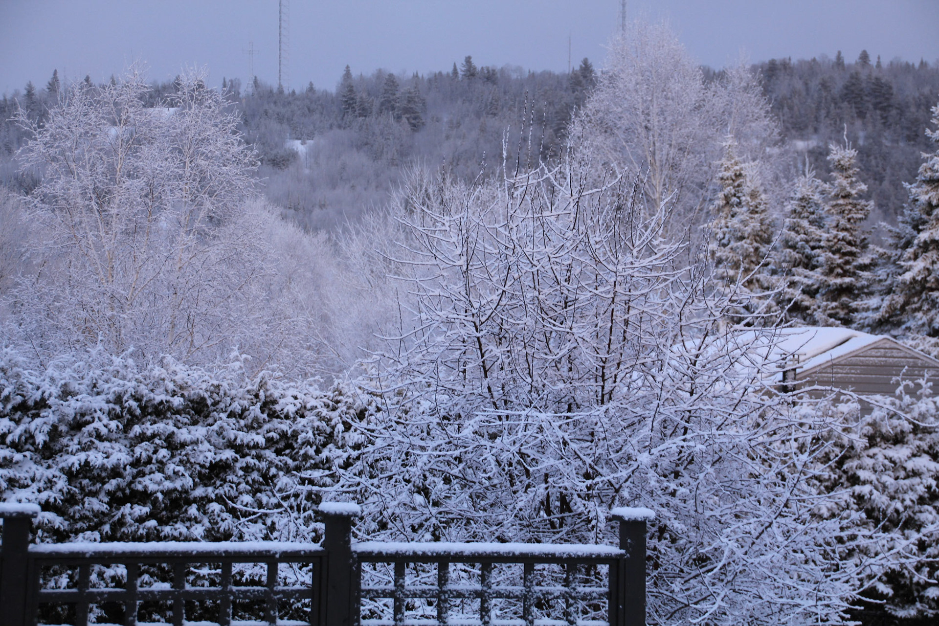 Neige Printanière