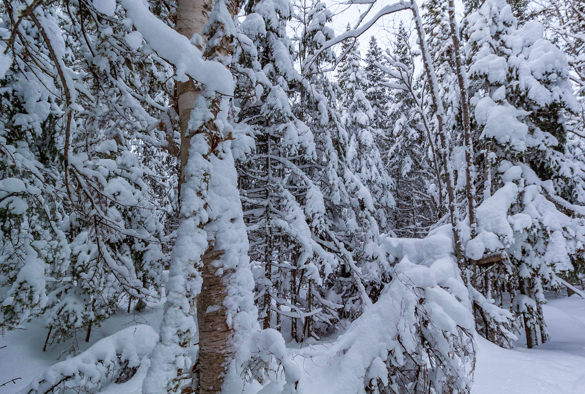 Parc Régional du Lac Taureau