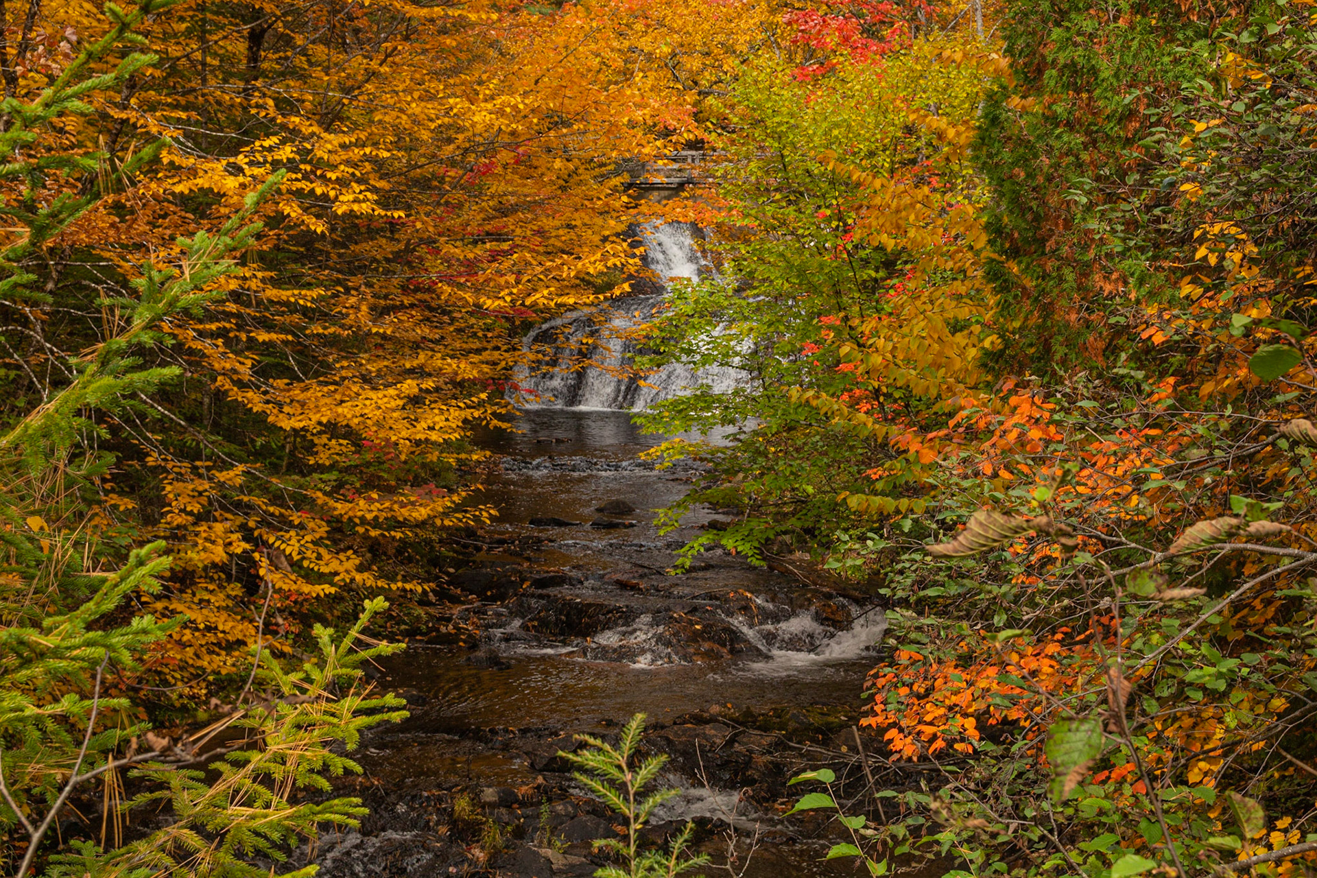 Chutes