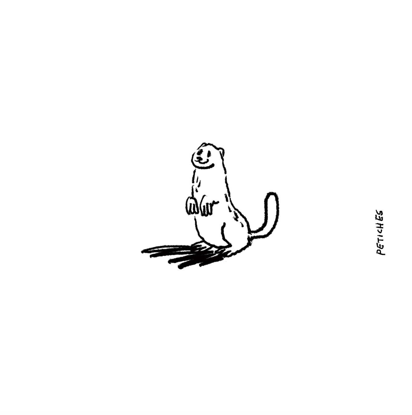 European Mink / Visón Europeo - Petiches