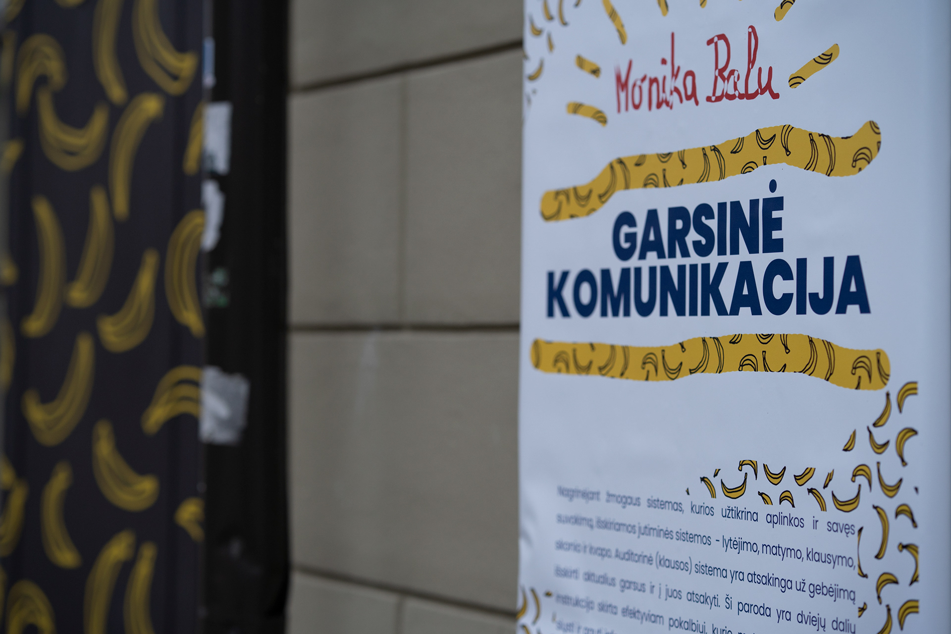 Auditory Communication at Kaunas Gallery