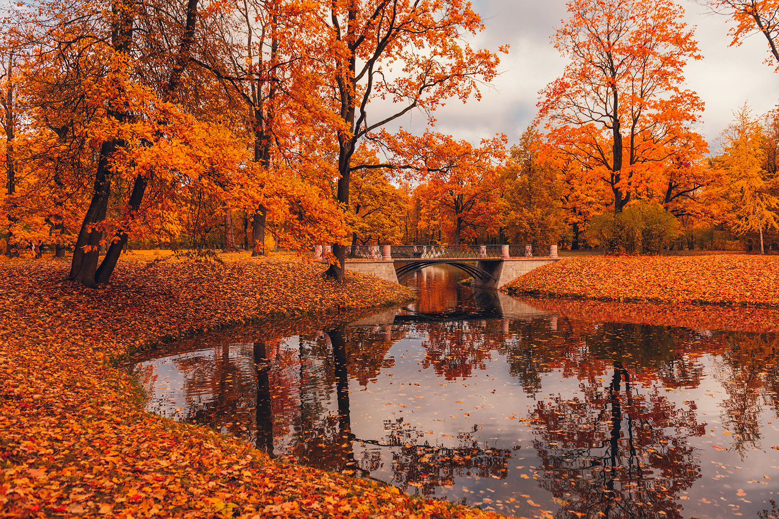 Danil Nikonov - Golden autumn. Pushkin, Saint-Petersburg, Russia