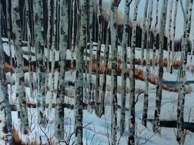 elk island park 11