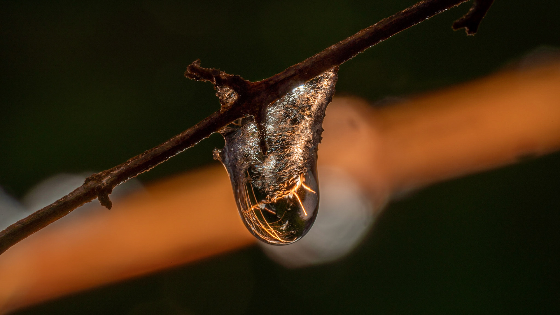 Freezing water drop