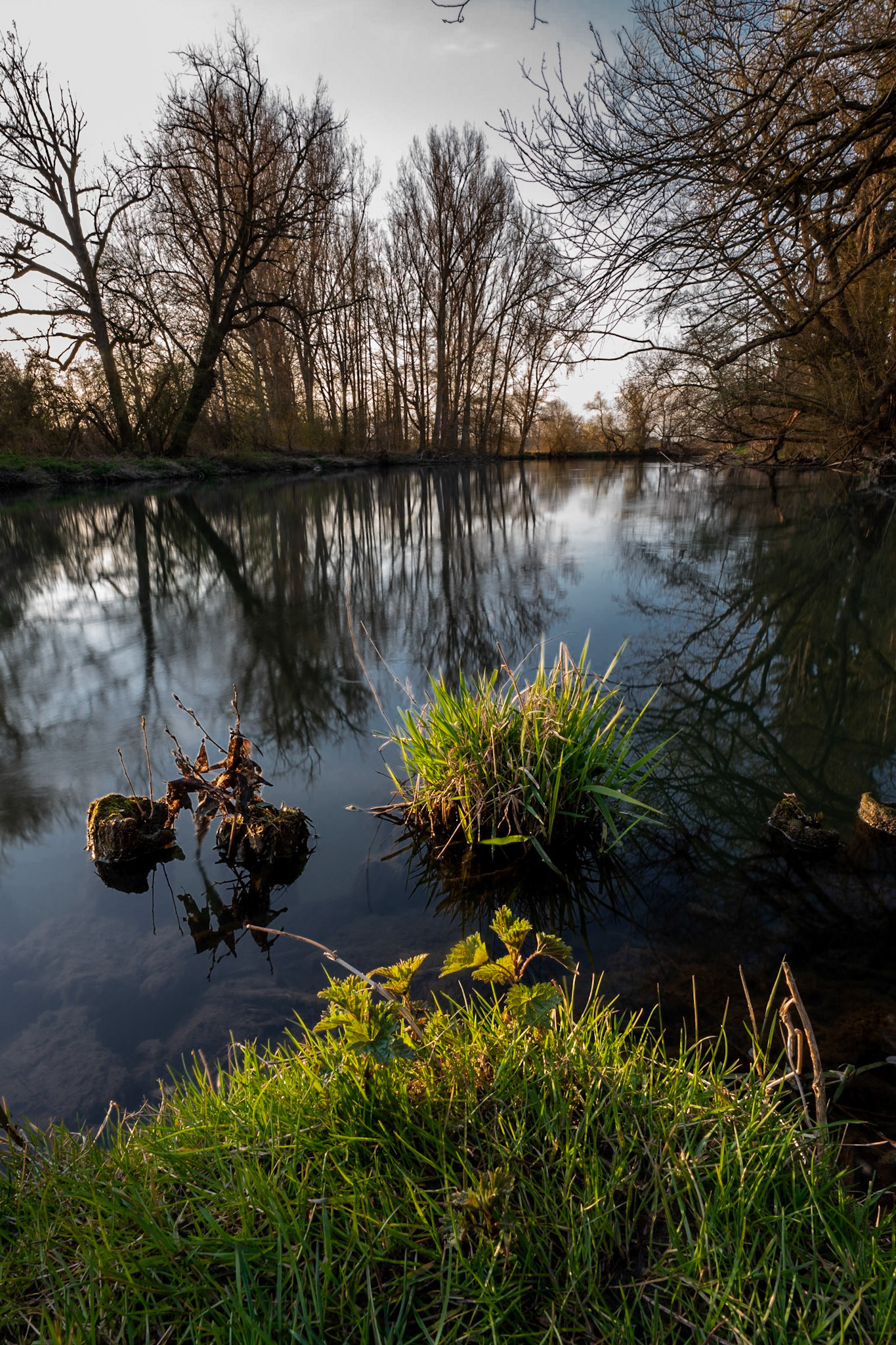 River mouth Schwabach and Regnitz