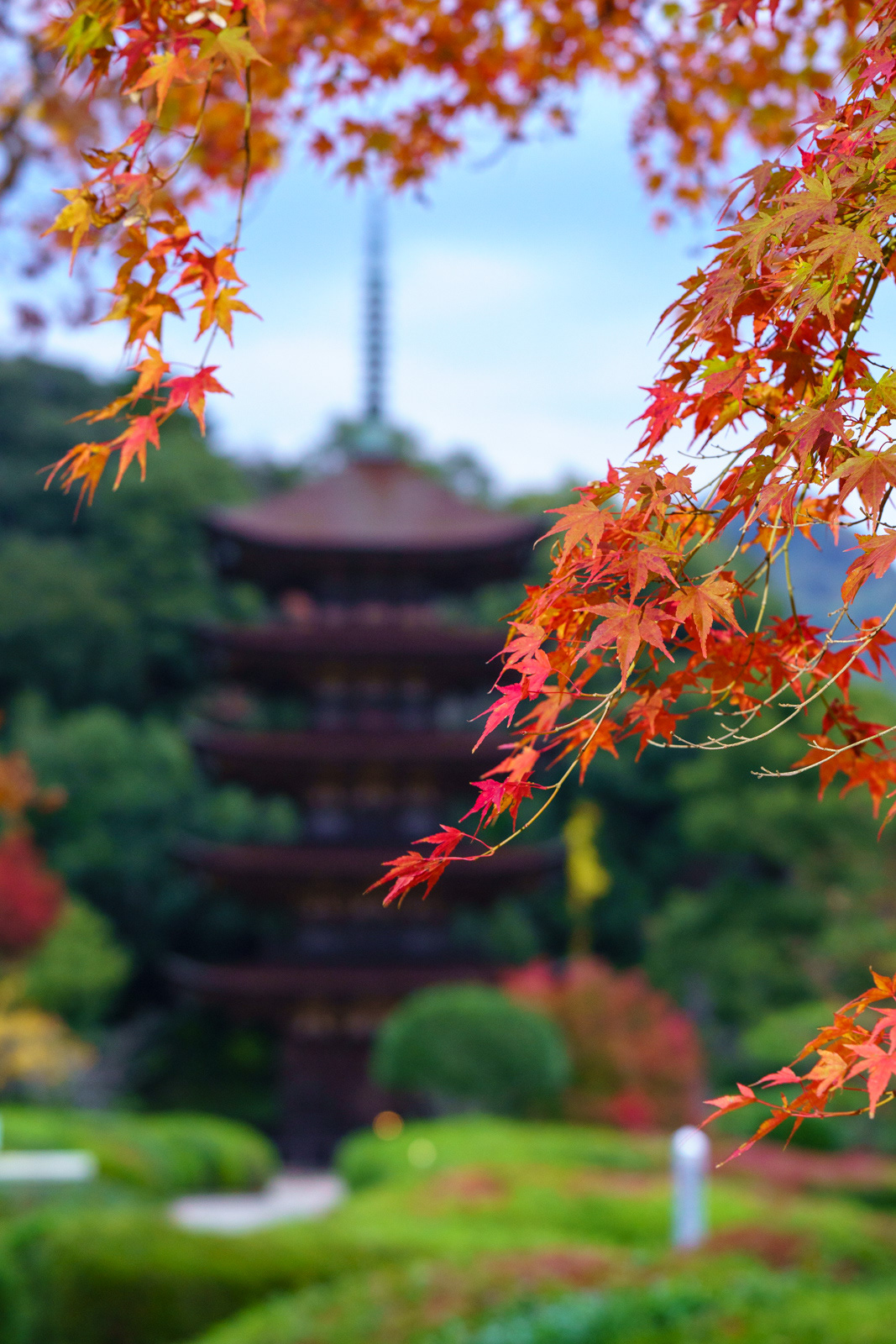 瑠璃光寺 紅葉