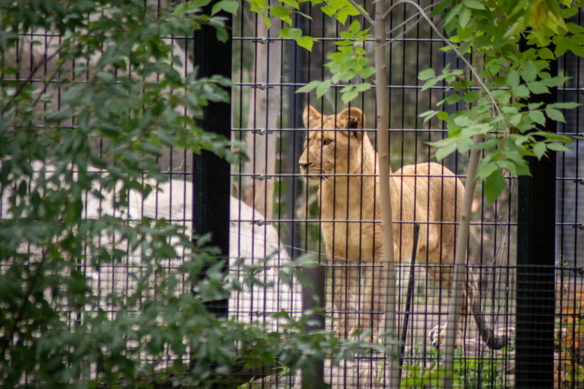 f/5.6 300mm 1/160sec ISO 200