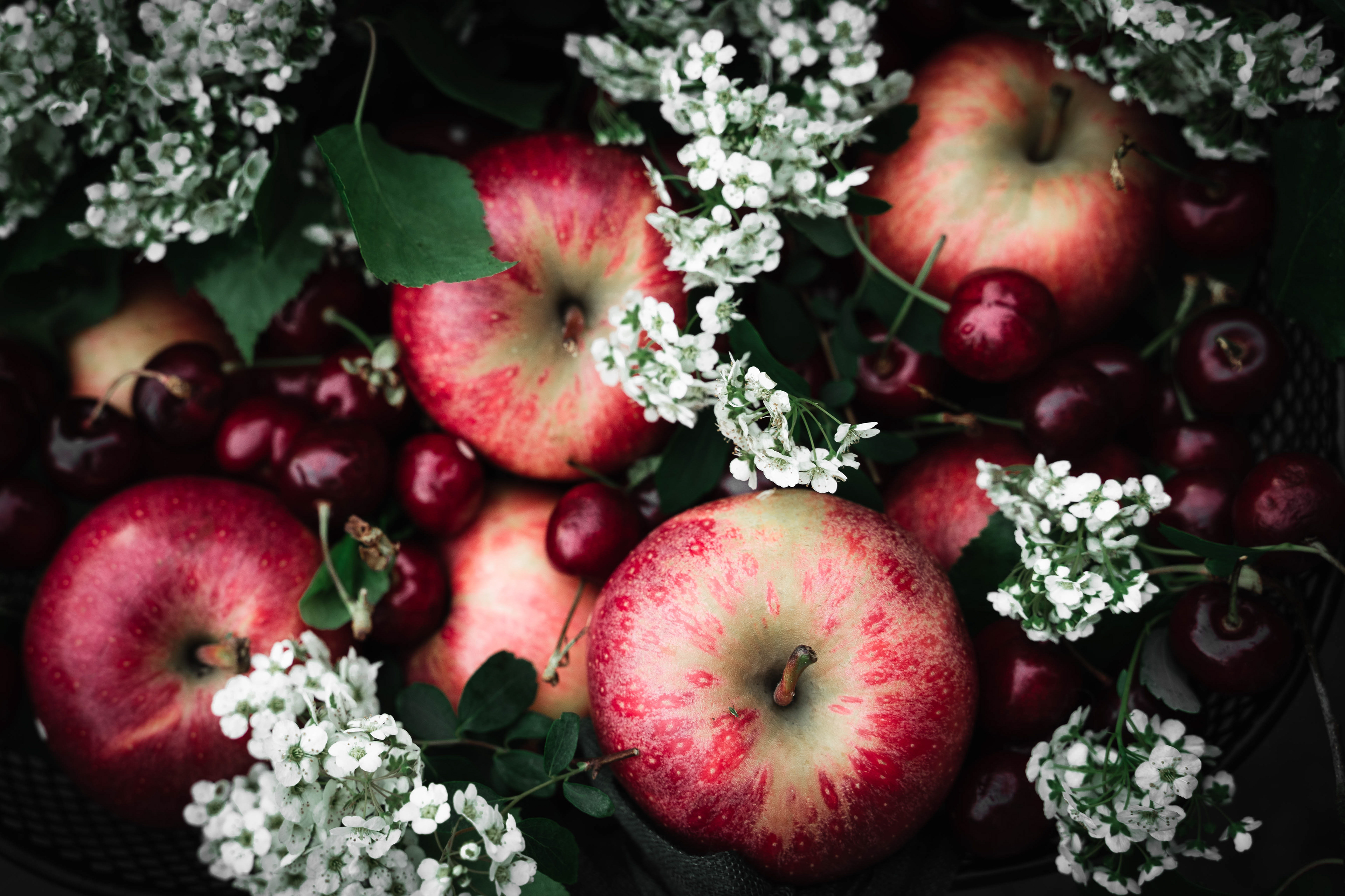 Pink Lady Apples