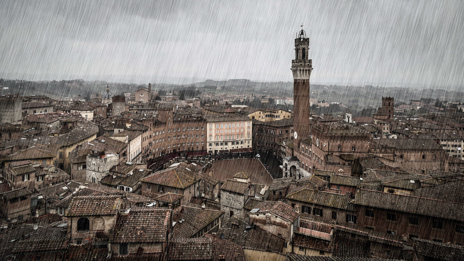 Siena Gimignano / Italien