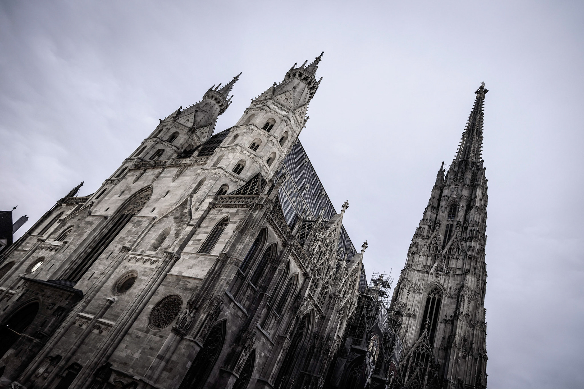Stephansdom / Wien