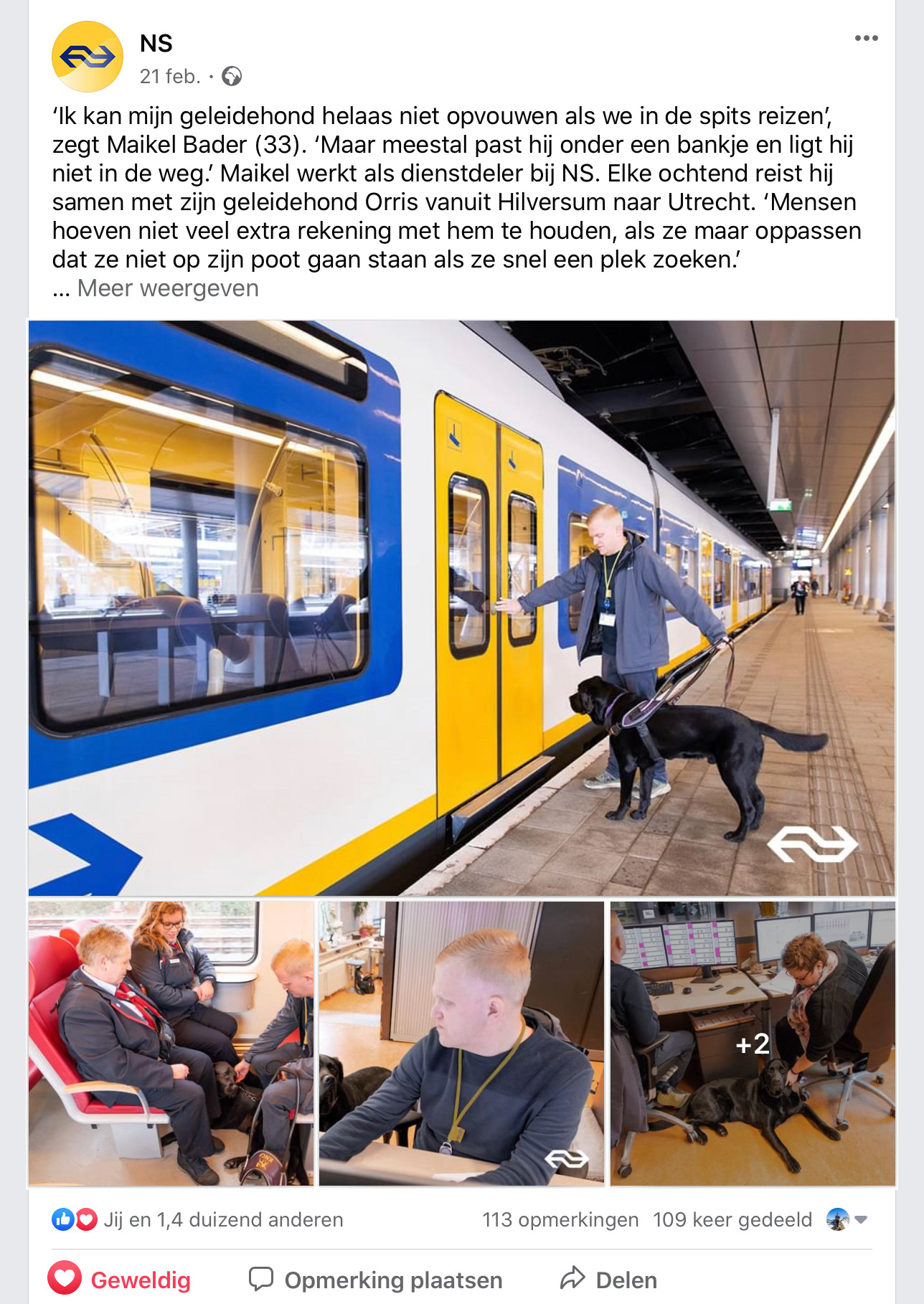 NS - Social Content