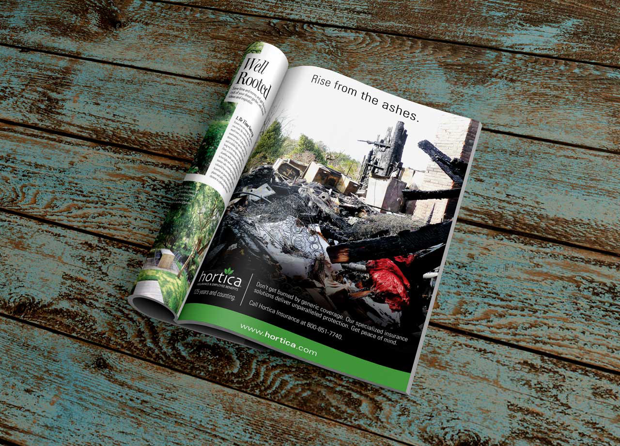 Branding, Brand Strategy, Copywriting, Creative Development, Creative Direction, Print Campaign, Taglines
