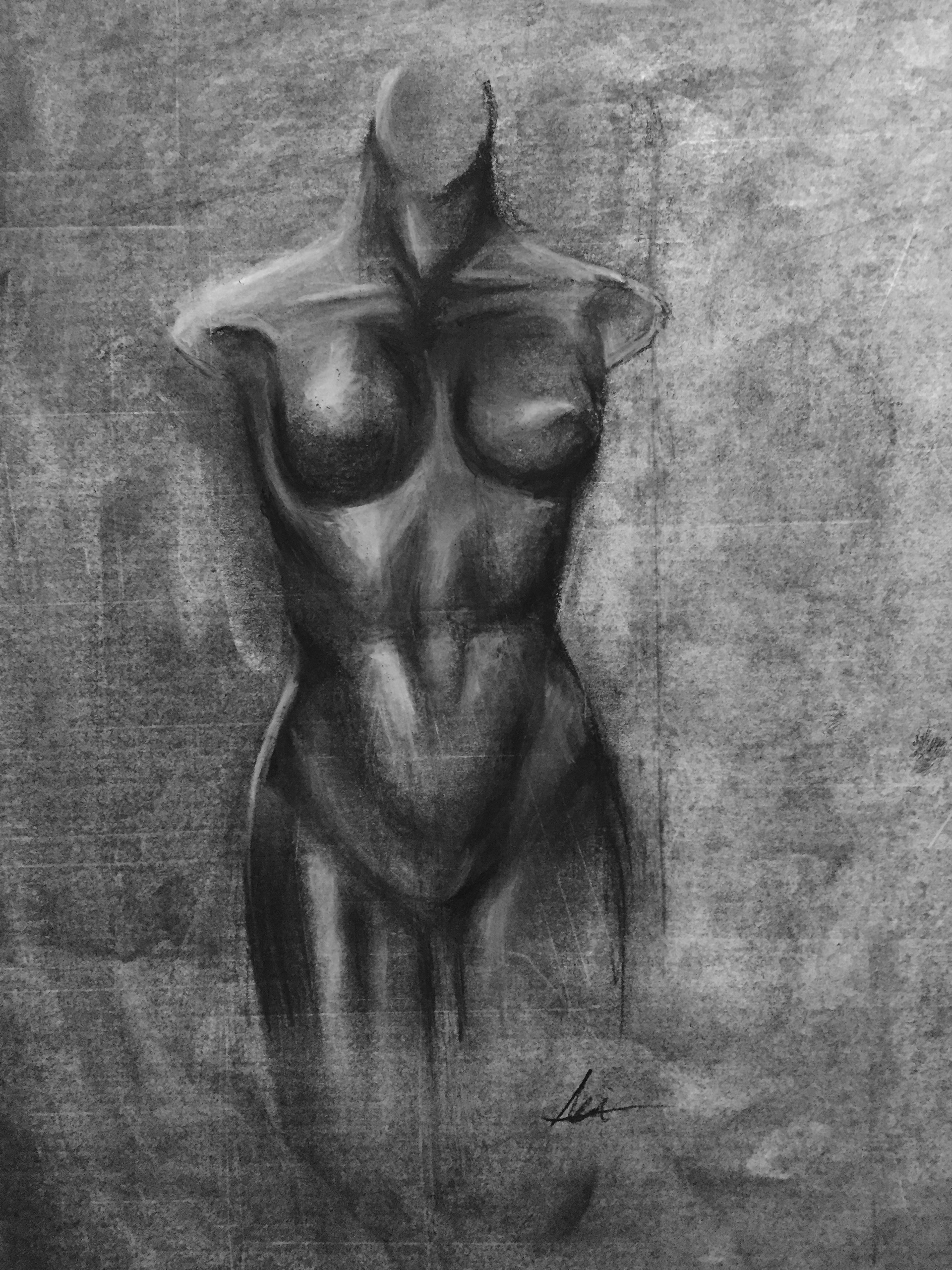 Charcoal Study