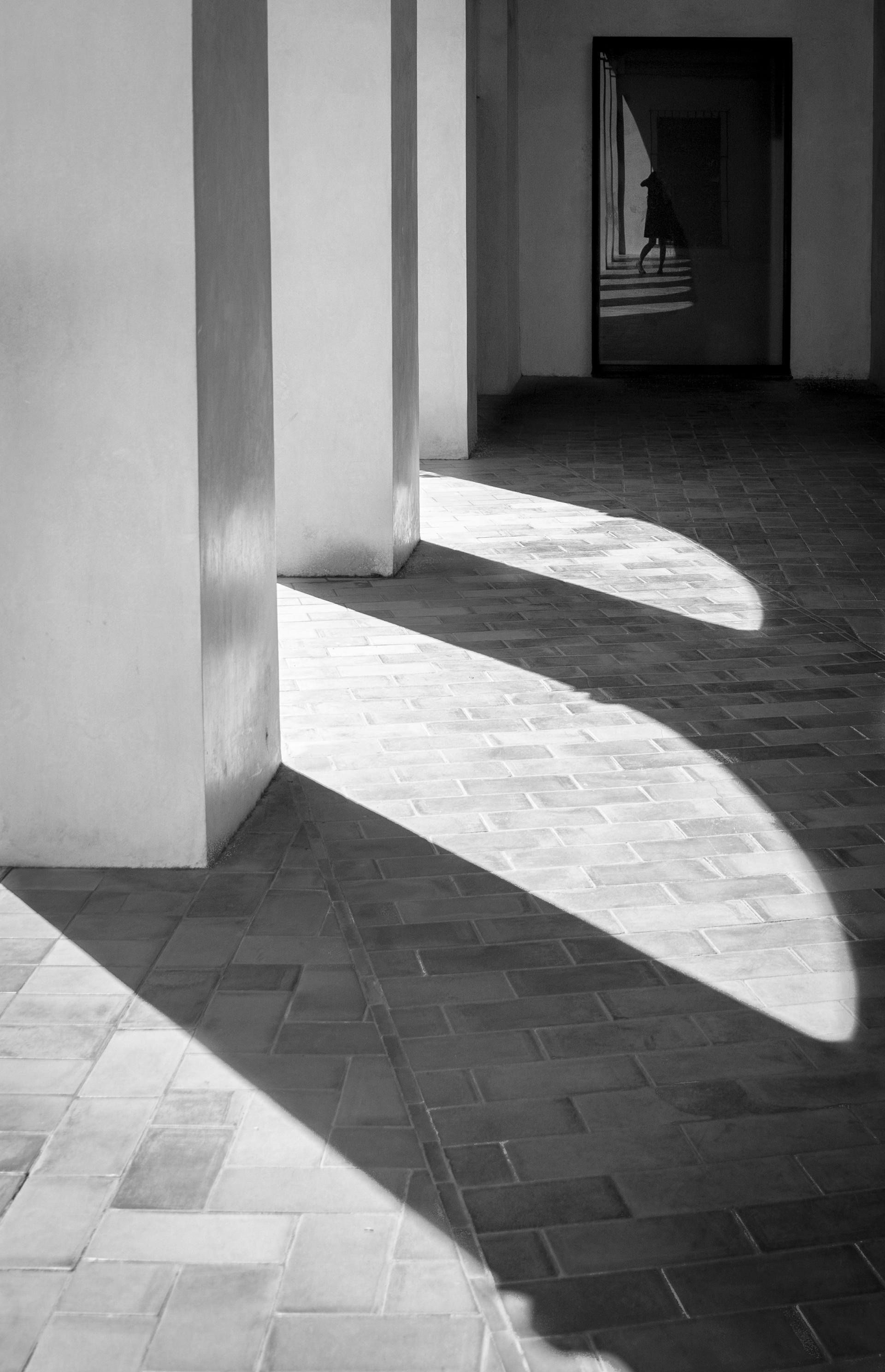 my name is vera. i am fond of creating images which depict the world as I perceive it.  worlds that arise only through light and shadow.  there is an inner beauty in everything. it remains hidden until somebody catches it.