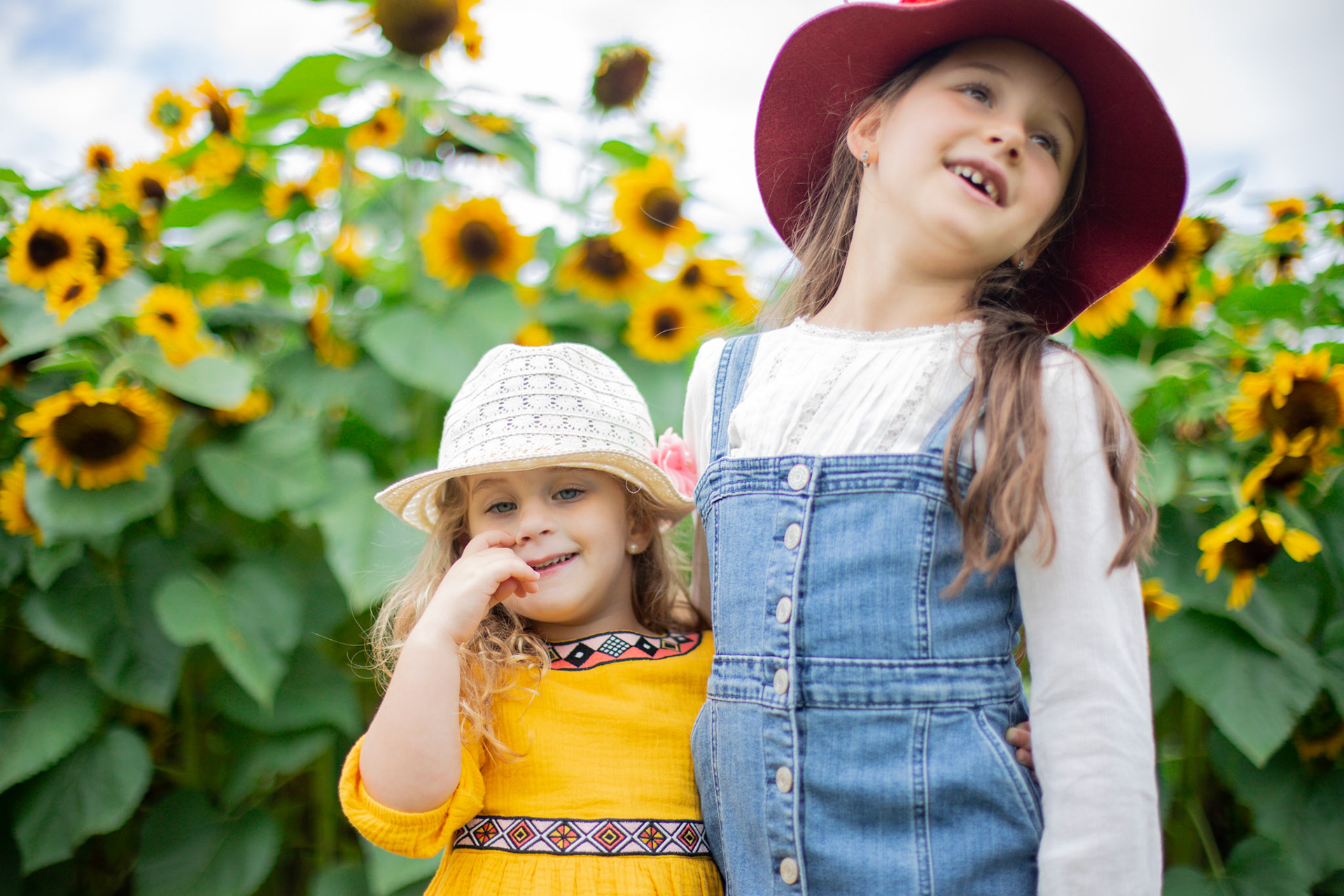 Sunflower Festival