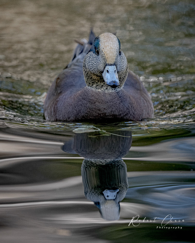 Head On