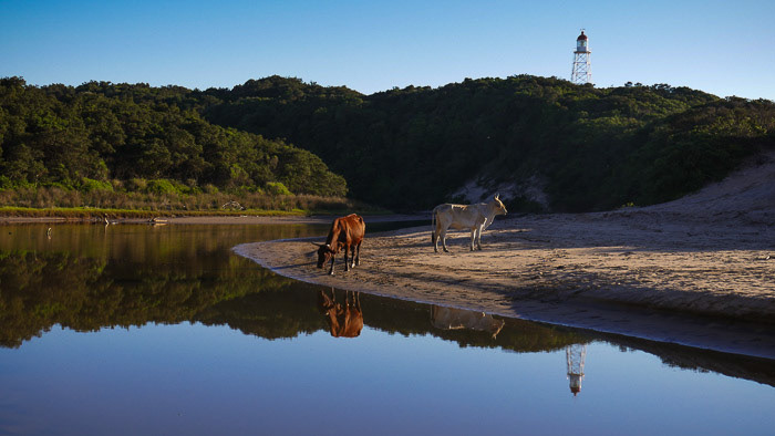 Old Transkei Landscape Photo