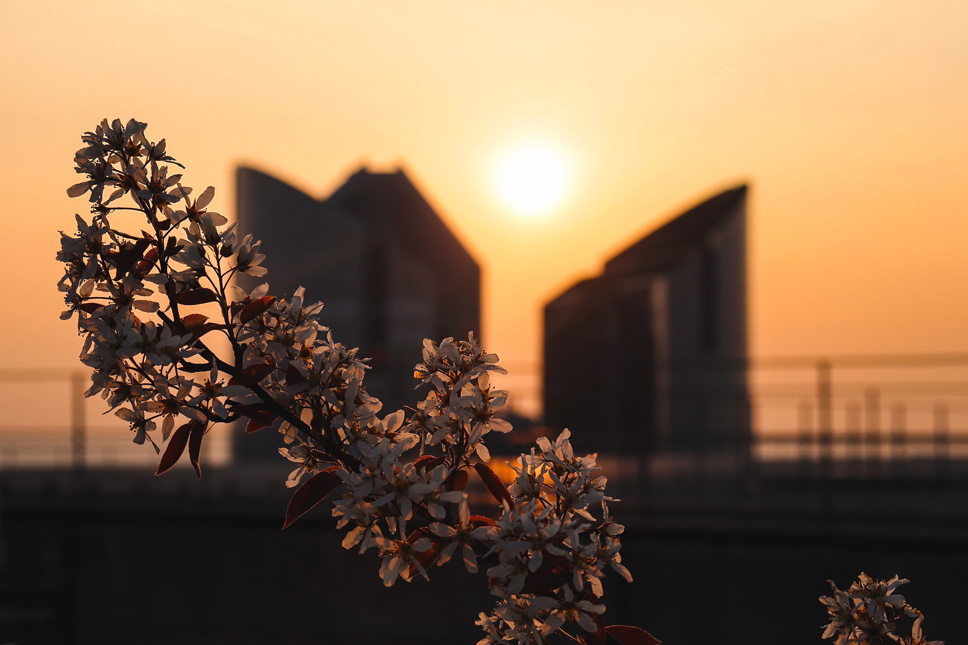 Grande Arche - La Défense