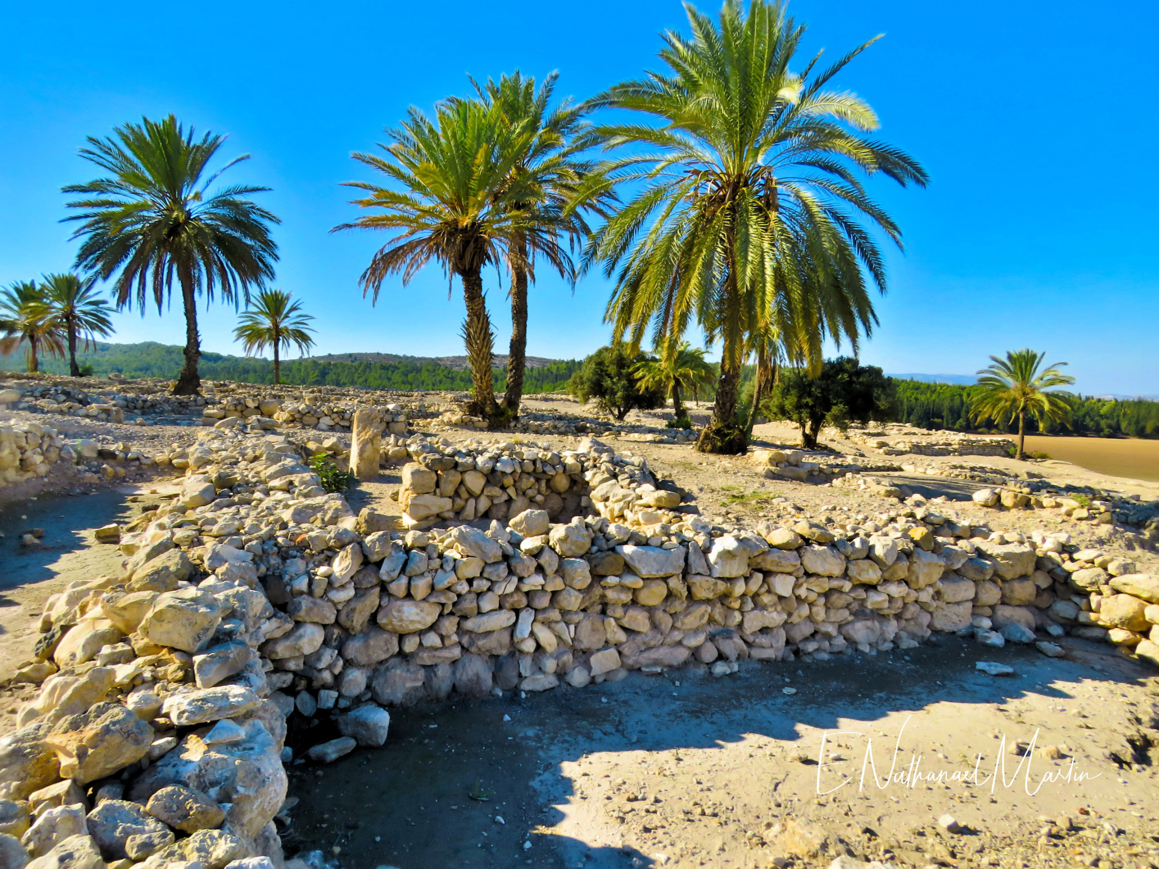 Nature by Nat Photography - Israel and Jordan