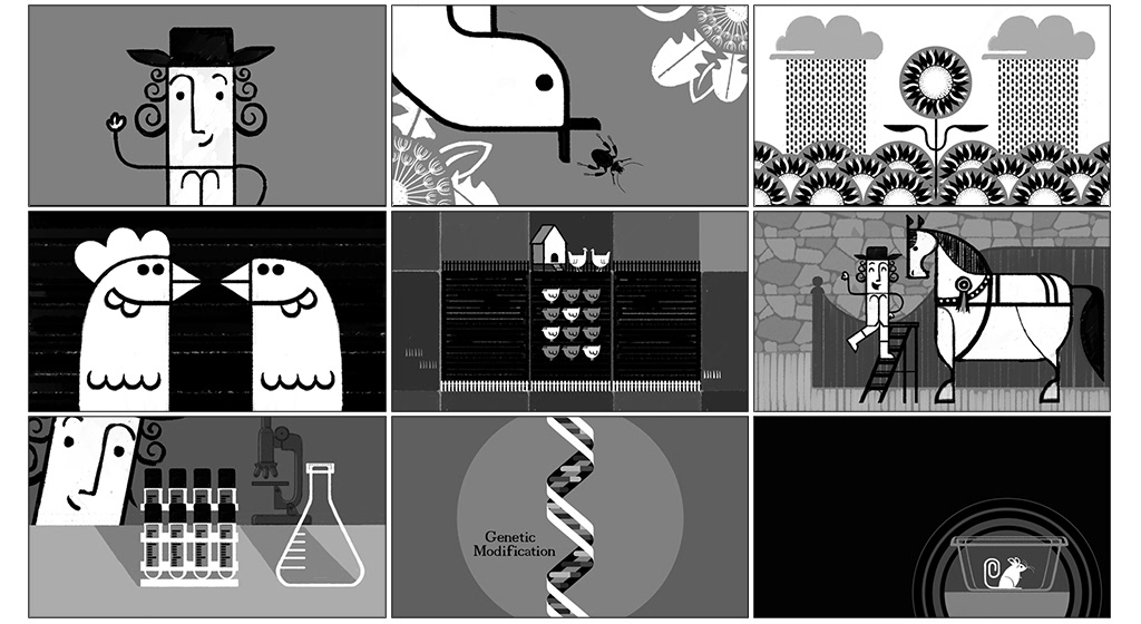 Animation concept development and select storyboard frames