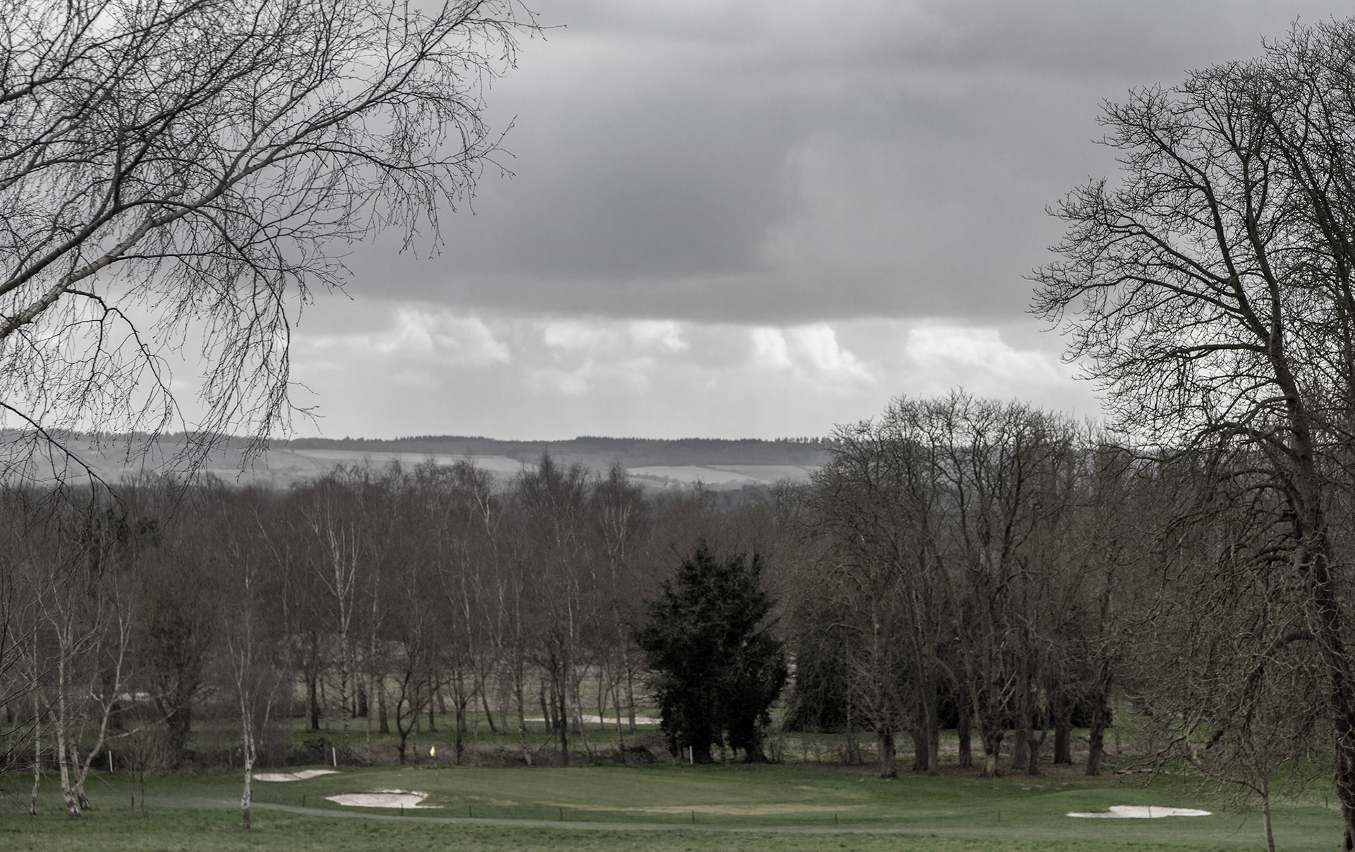 The Surrey Journal Pyrford Walk