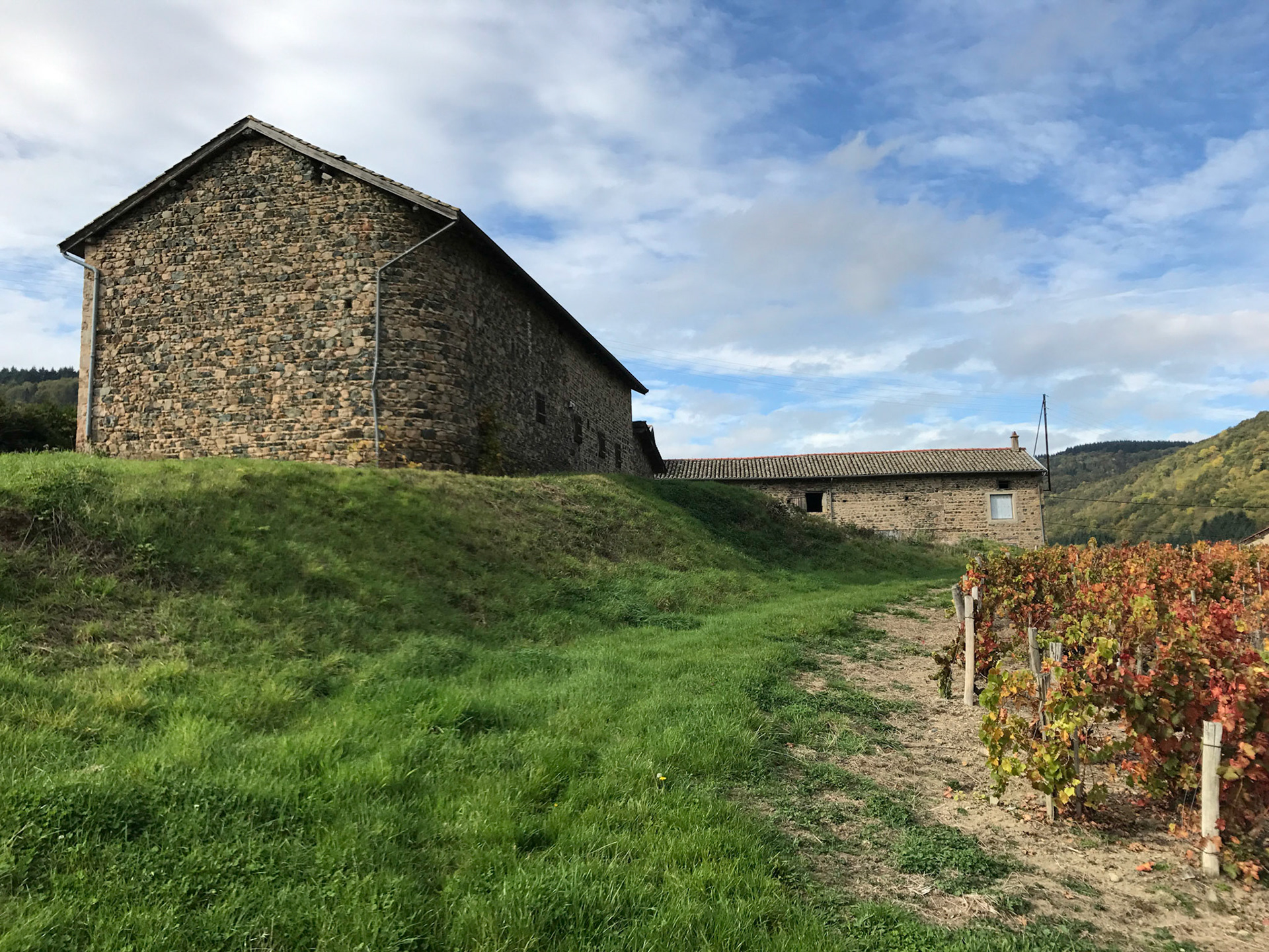 De la vigne au cuvelage