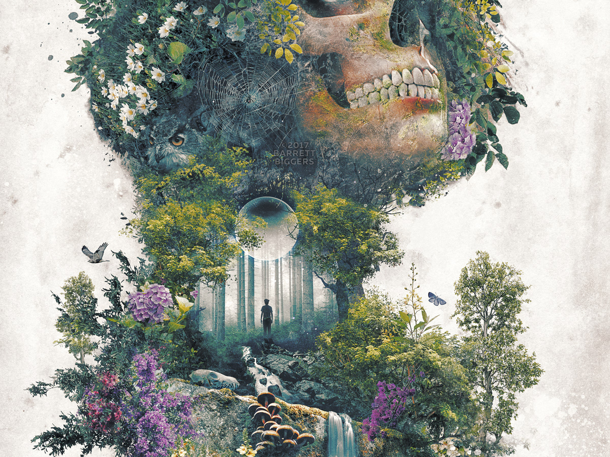 Barrett Biggers Life And Death My Nature Skull Surrealism Fantasy Art Barrett Biggers Life And Death My Nature Skull Surrealism Fantasy Art